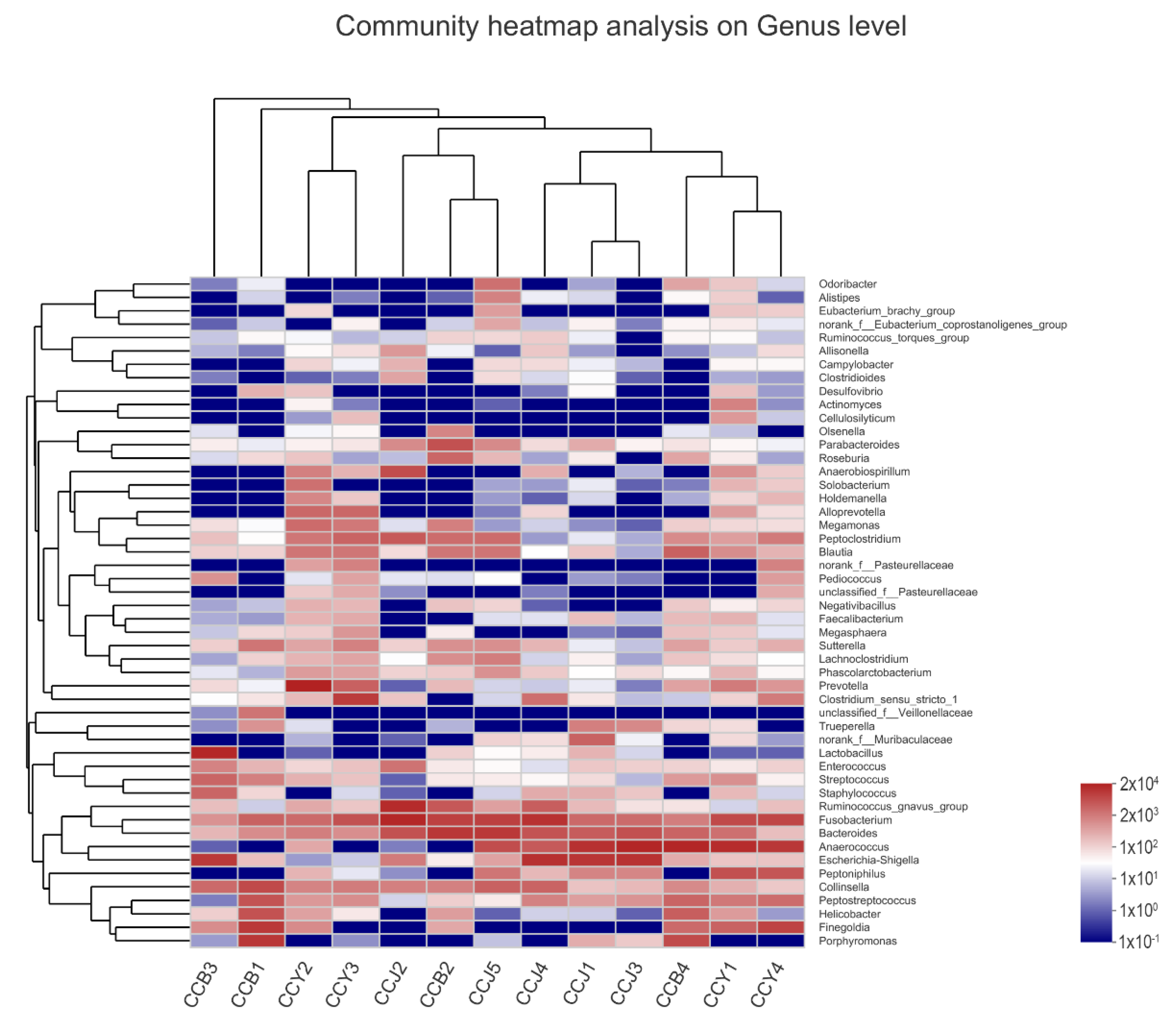 Animals 12 02467 g004