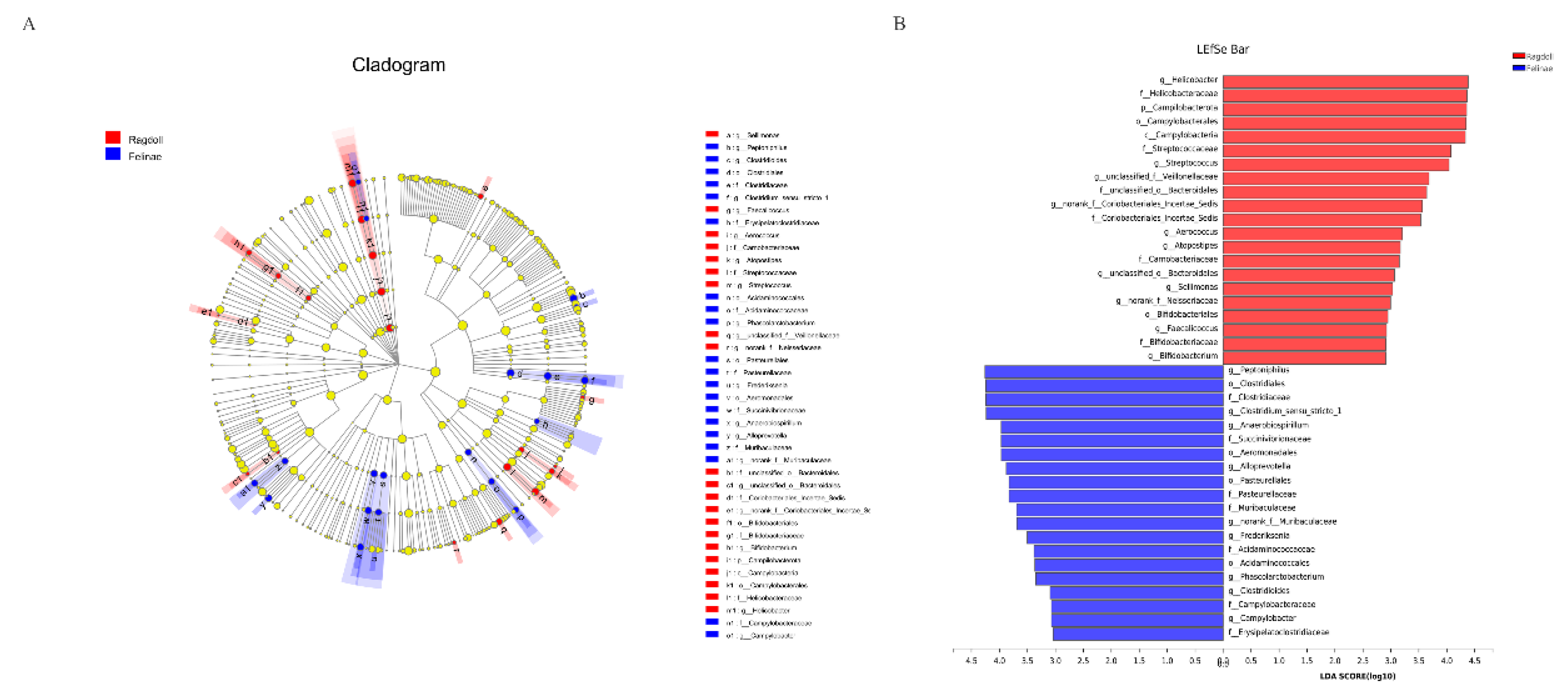 Animals 12 02467 g005
