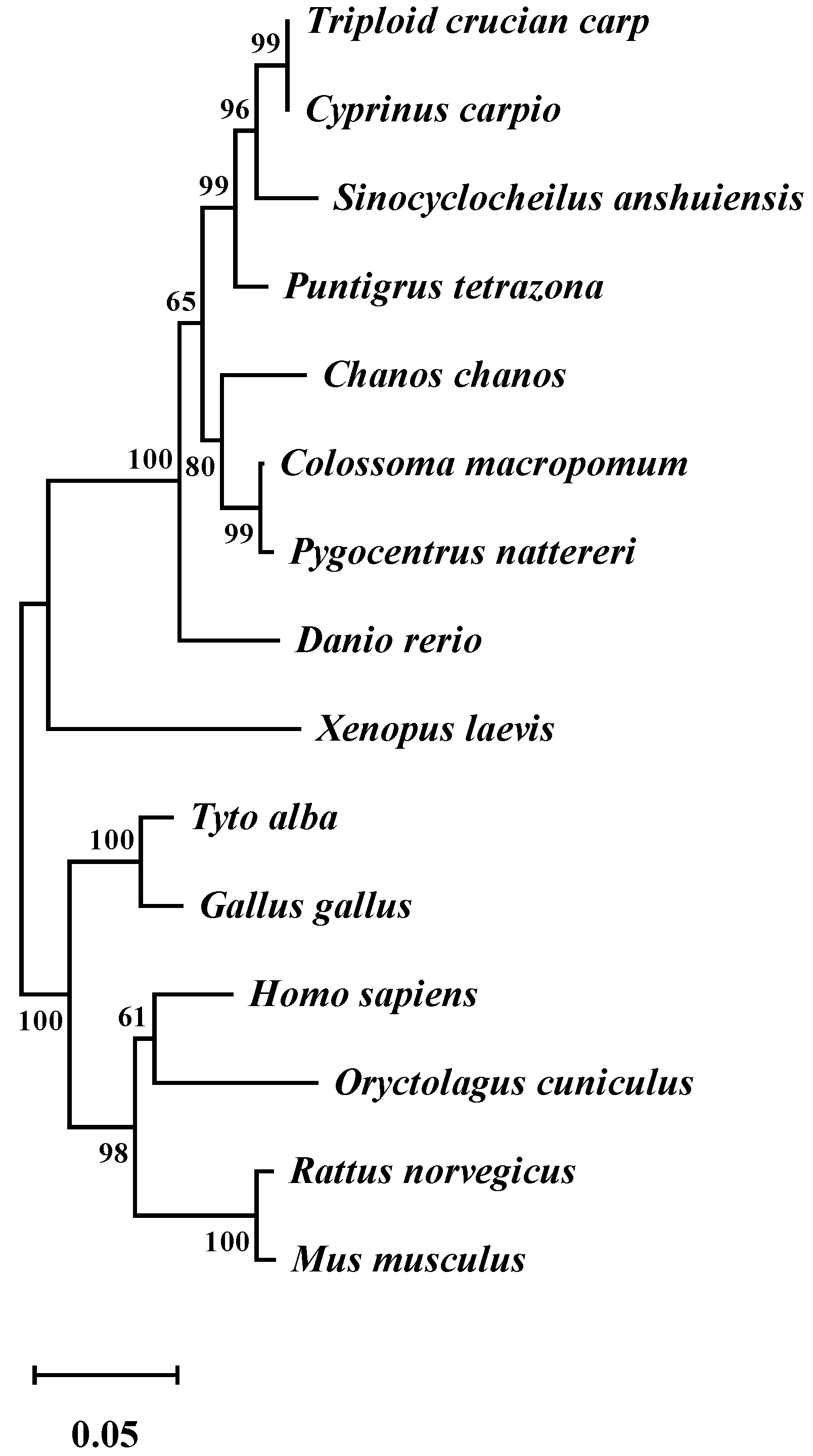 Animals 12 02474 g001