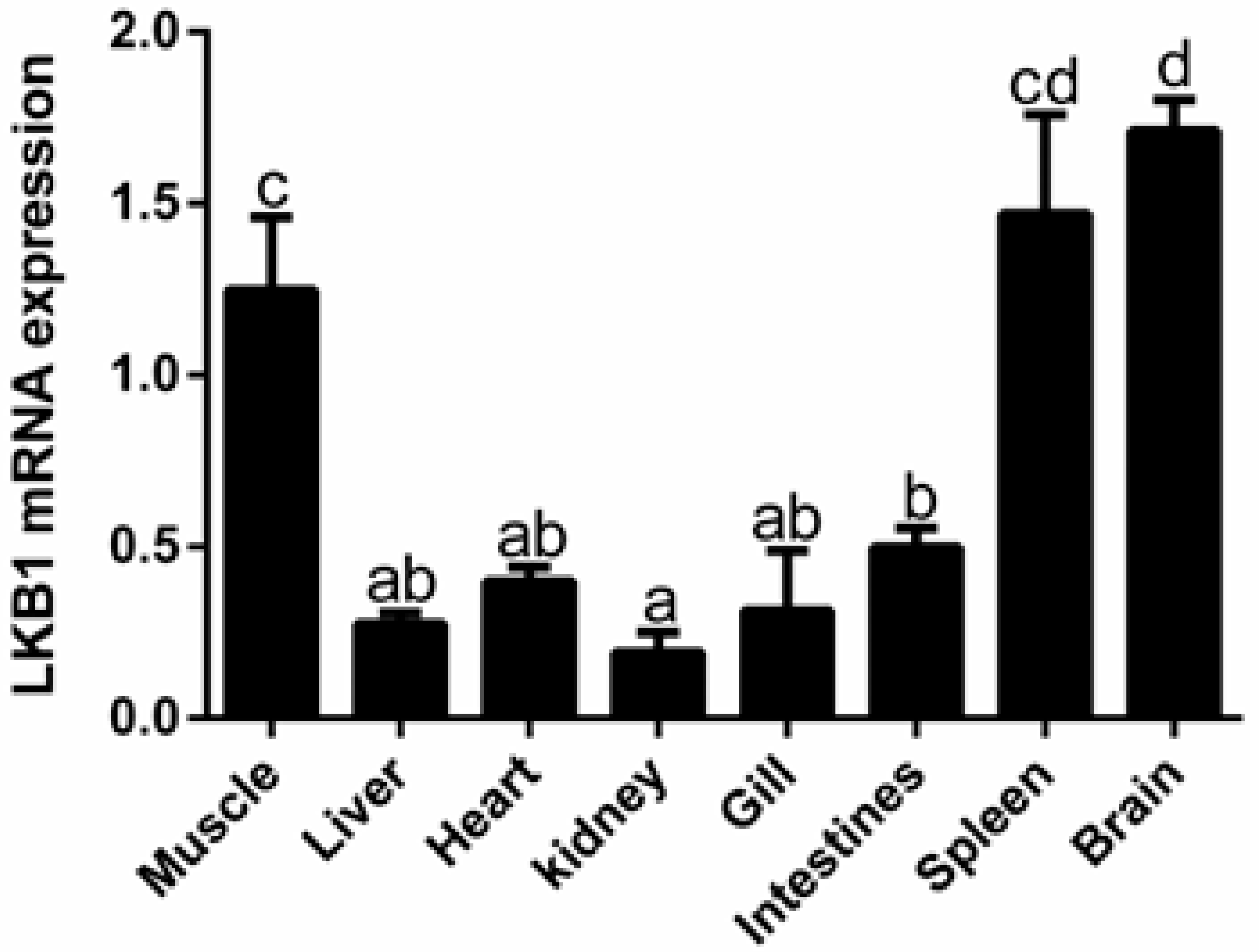 Animals 12 02474 g002