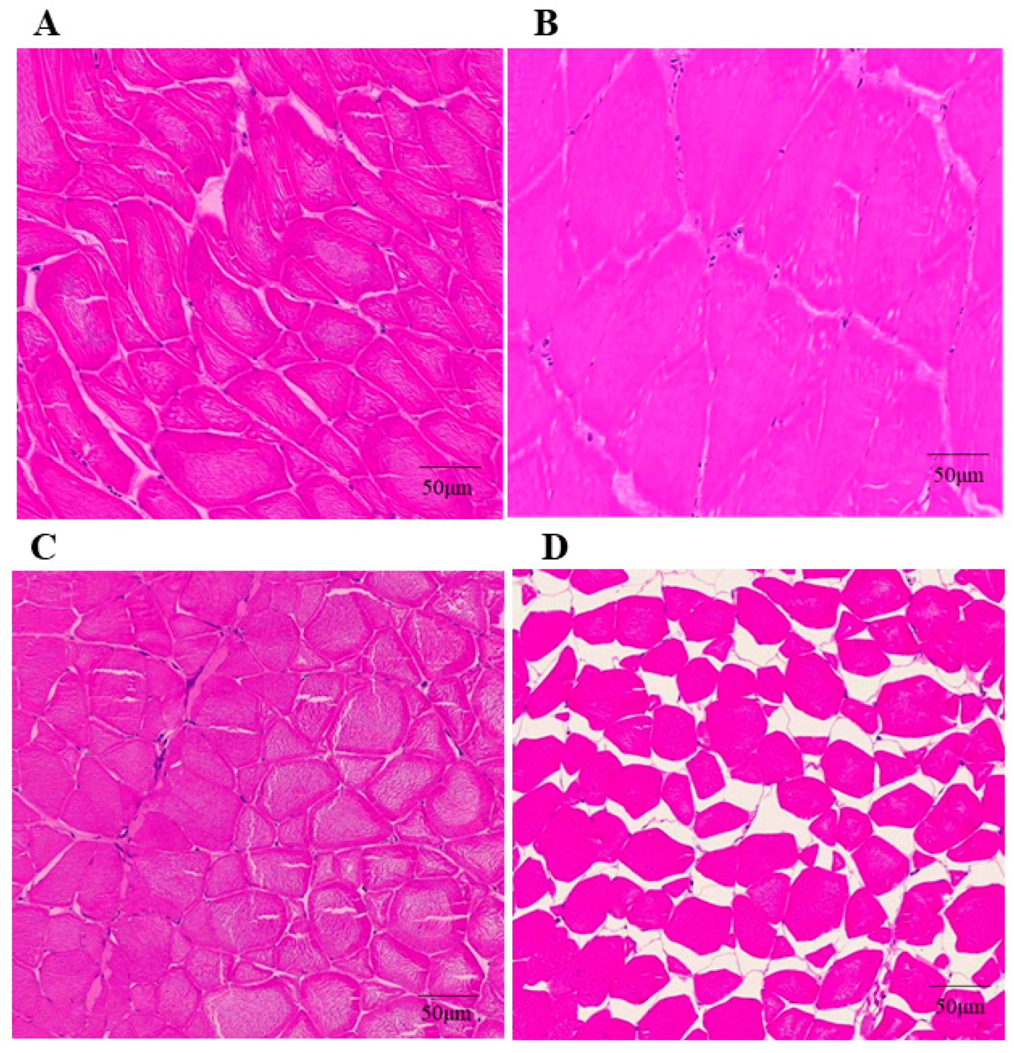 Animals 12 02474 g004