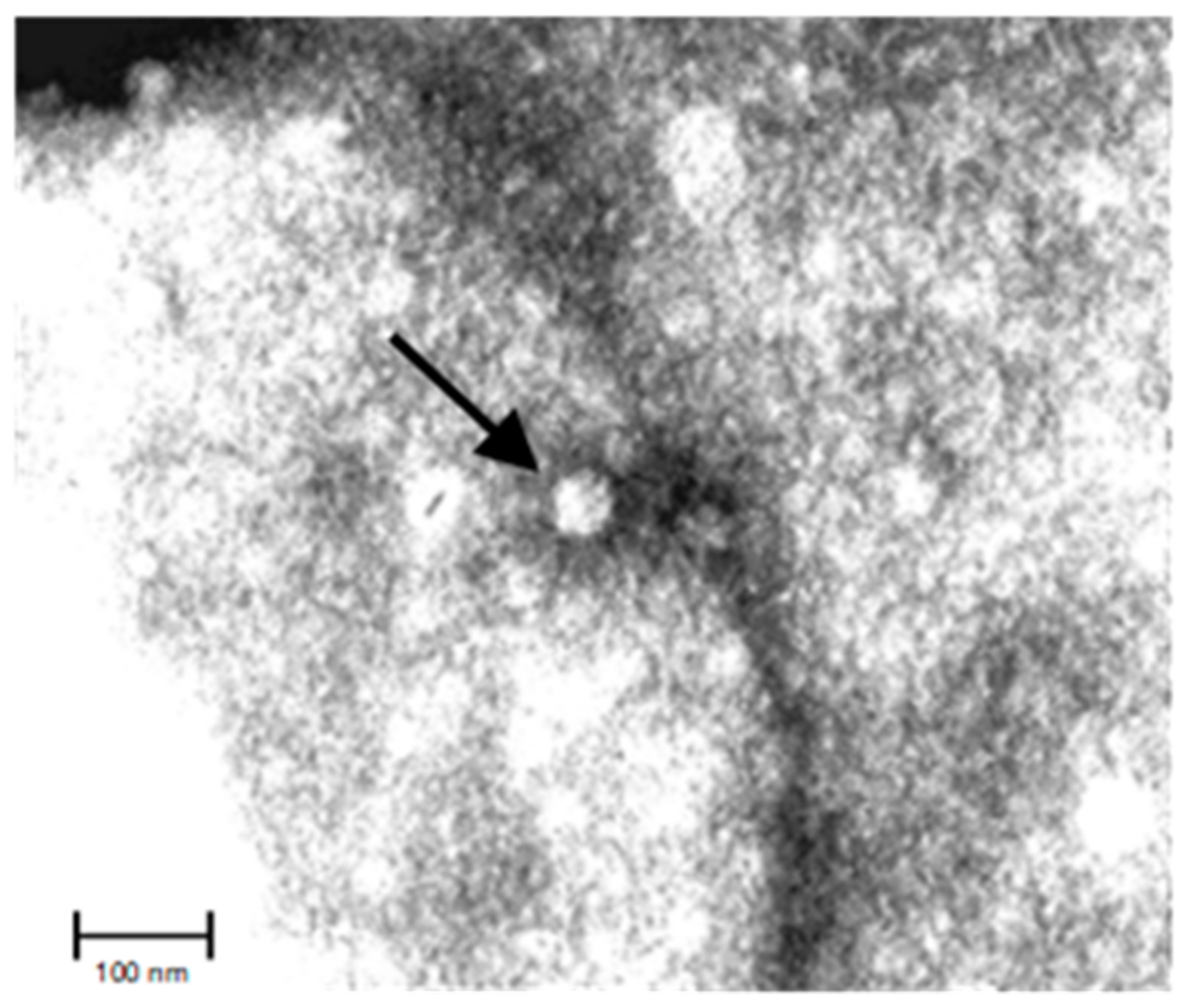 Animals 12 02486 g001