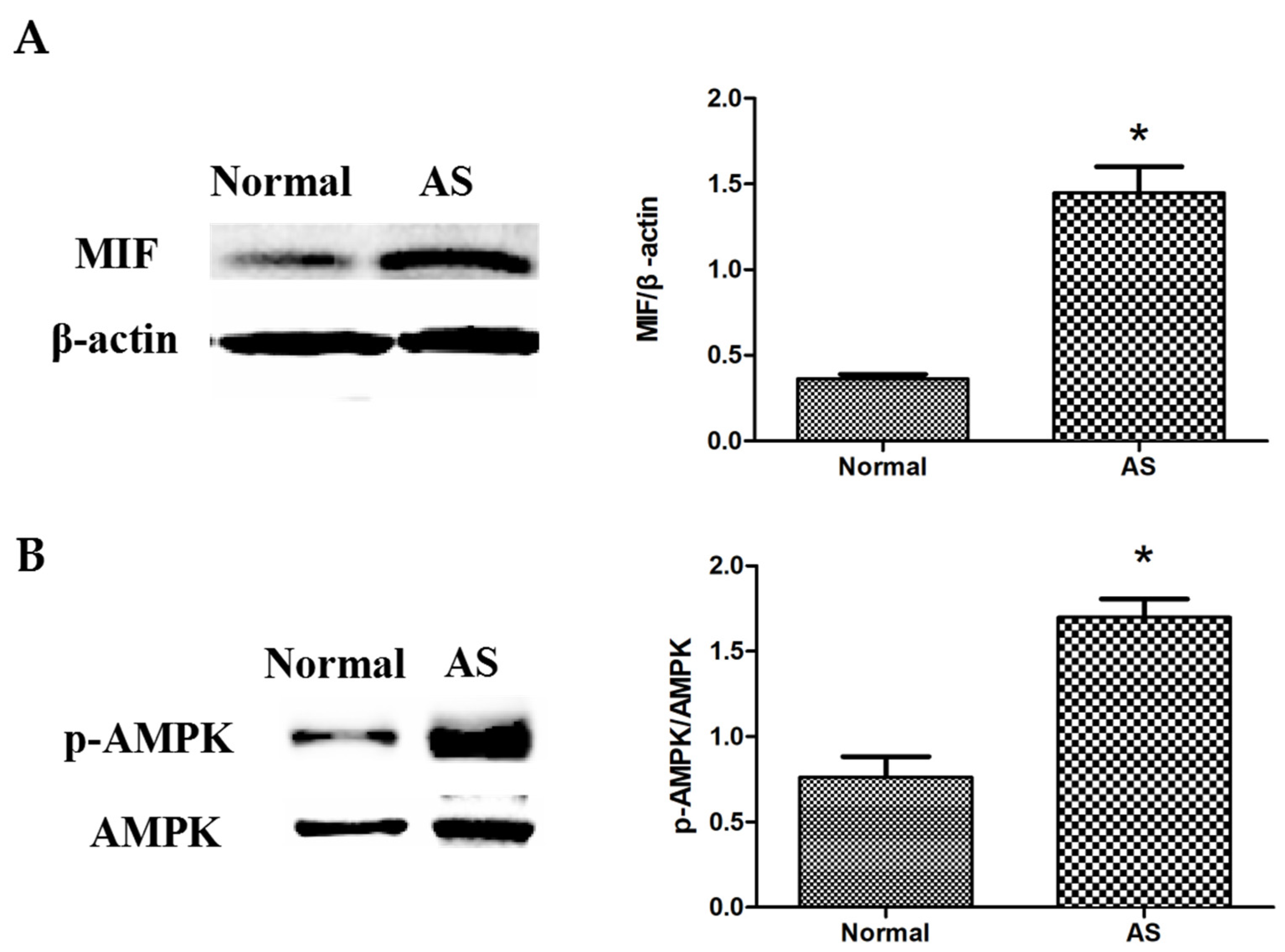 Animals 12 02488 g003