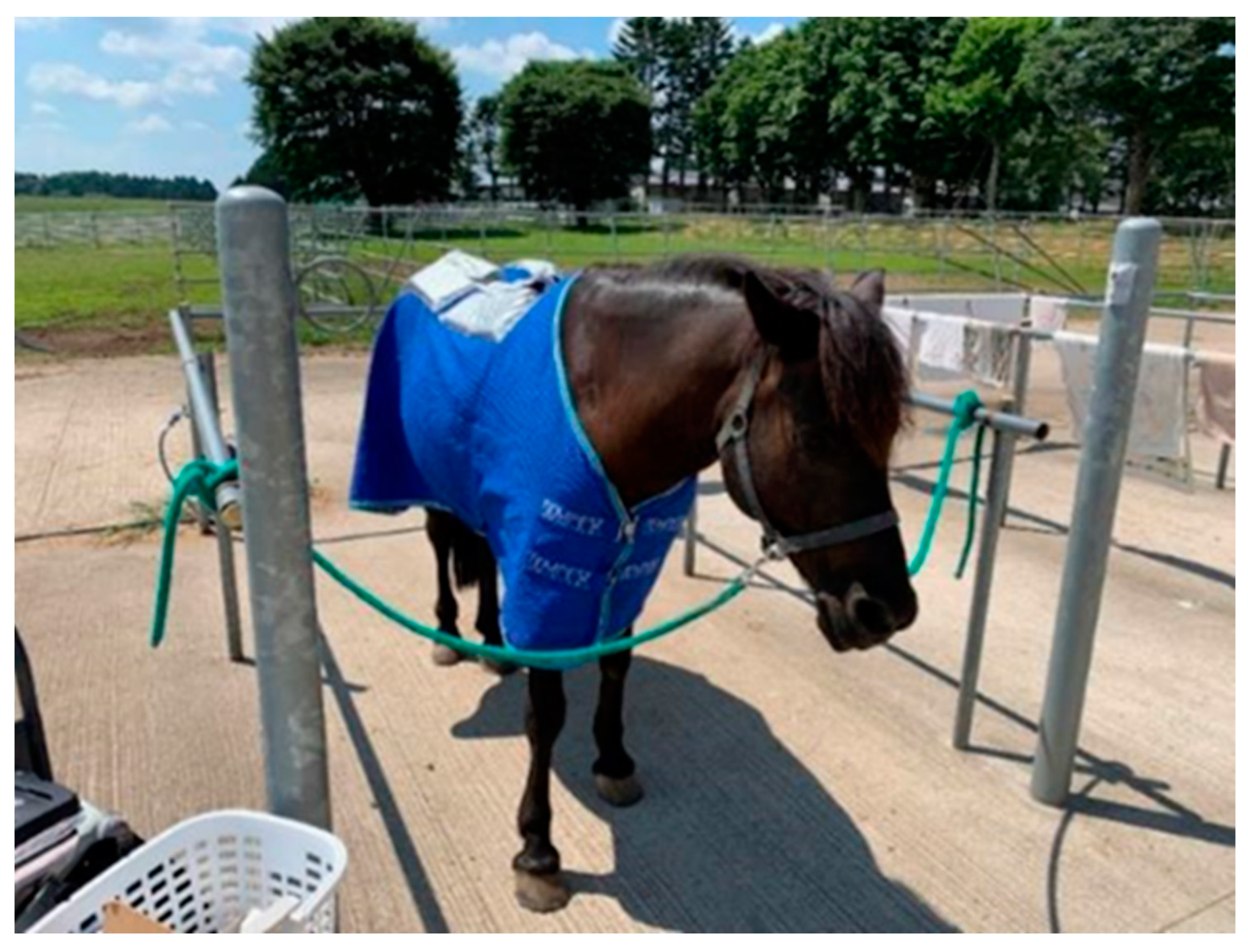 Animals 12 02505 g003