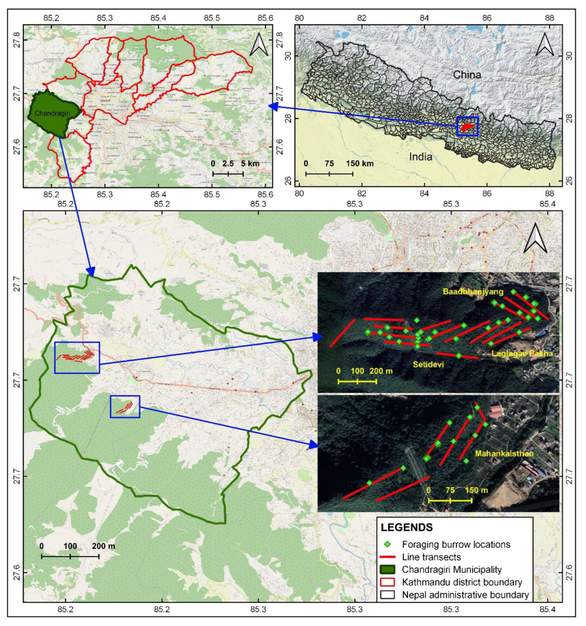 Animals 12 02518 g001