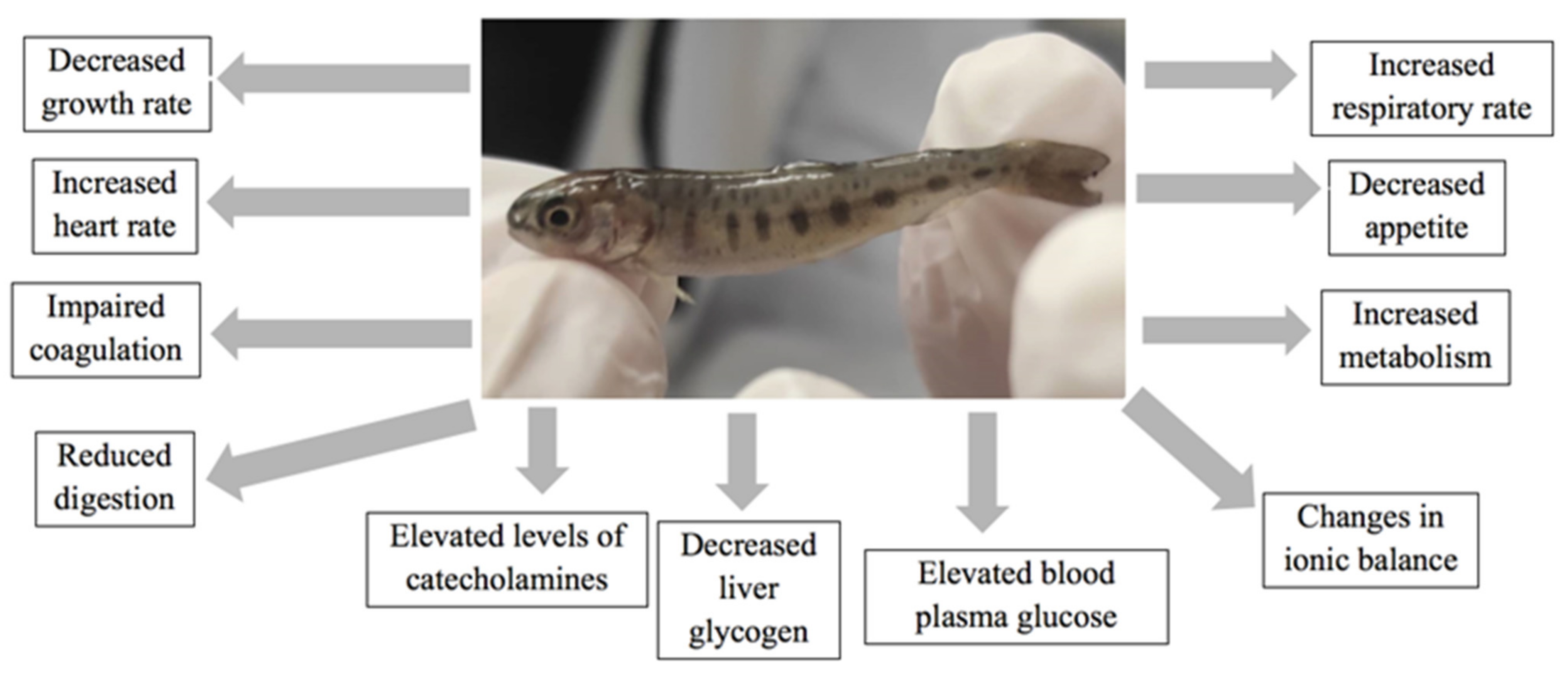 Animals 12 02523 g005