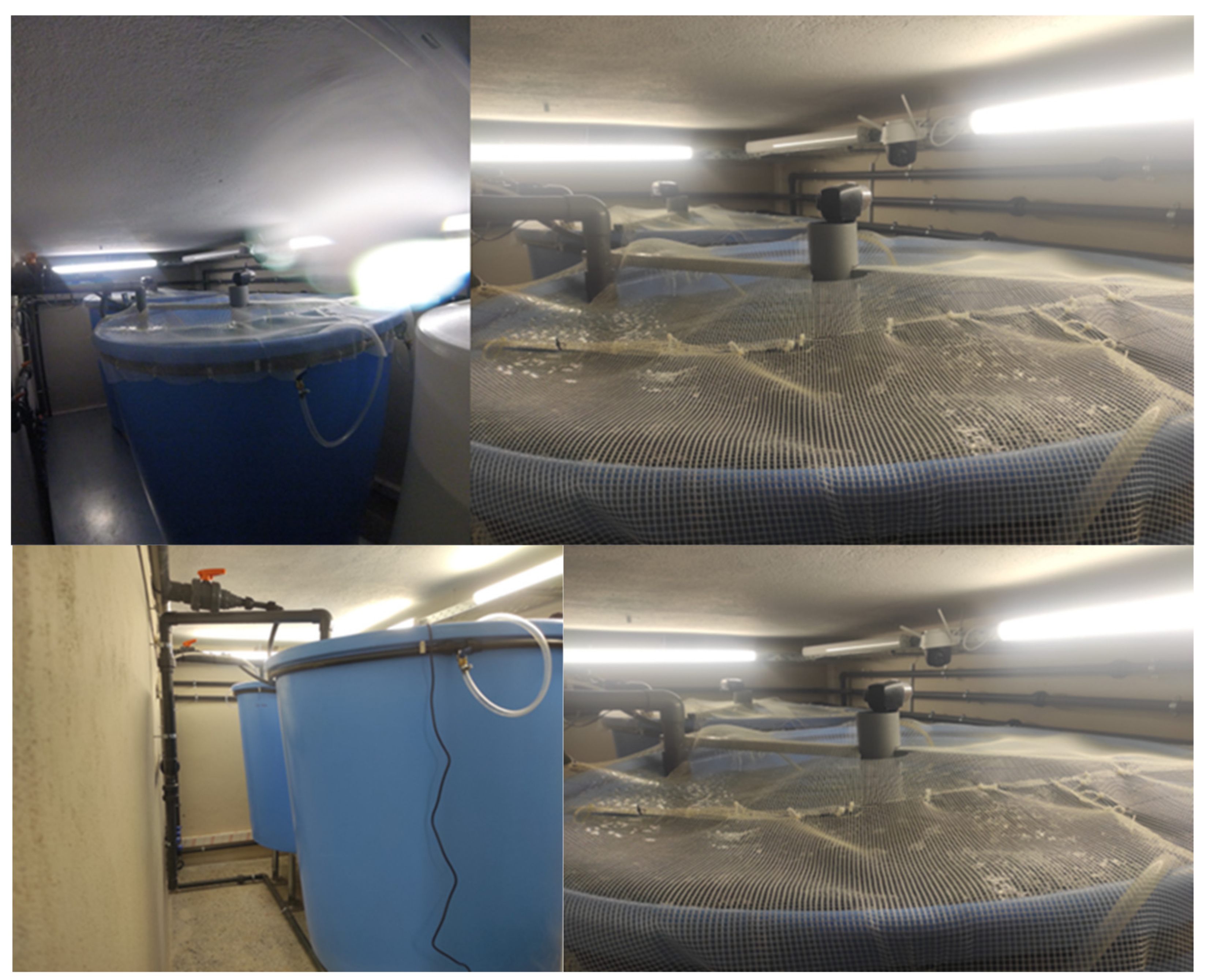 Animals 12 02523 g006