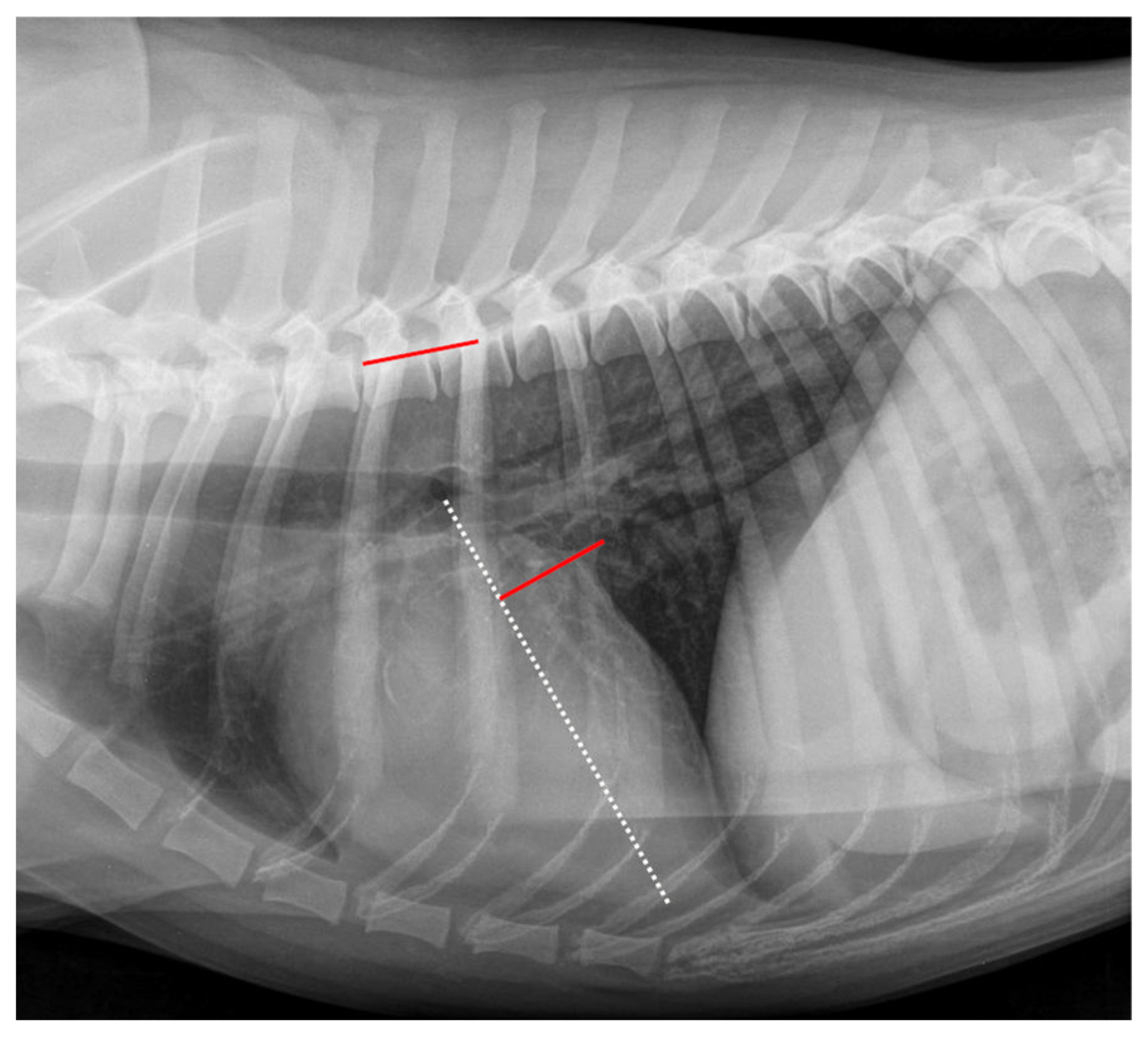 Animals 12 02531 g003