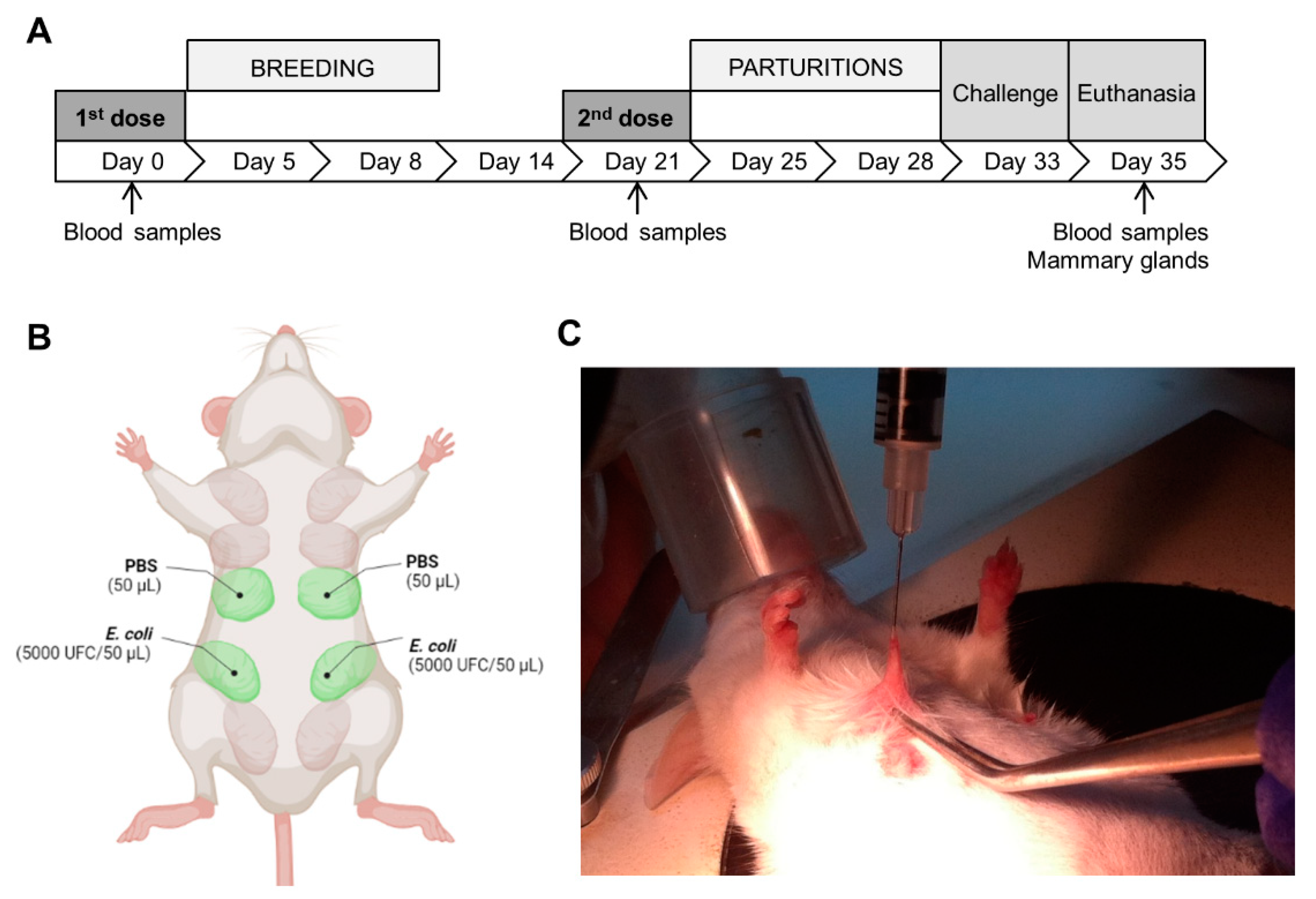 Animals 12 02533 g001