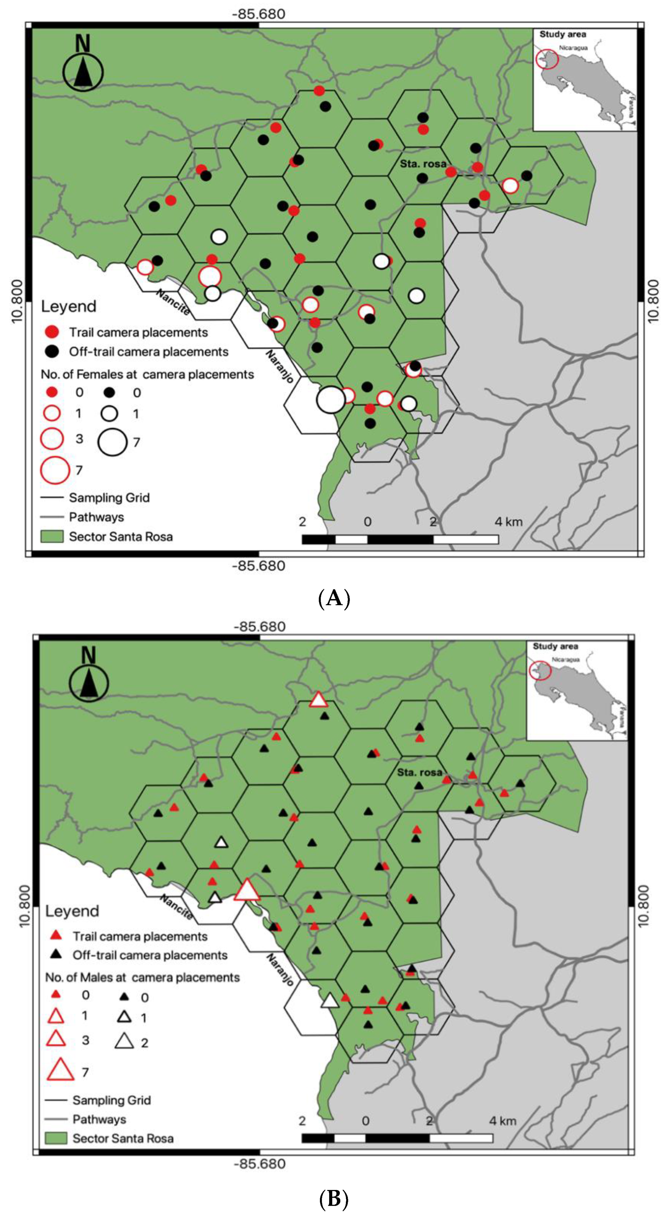 Animals 12 02544 g001