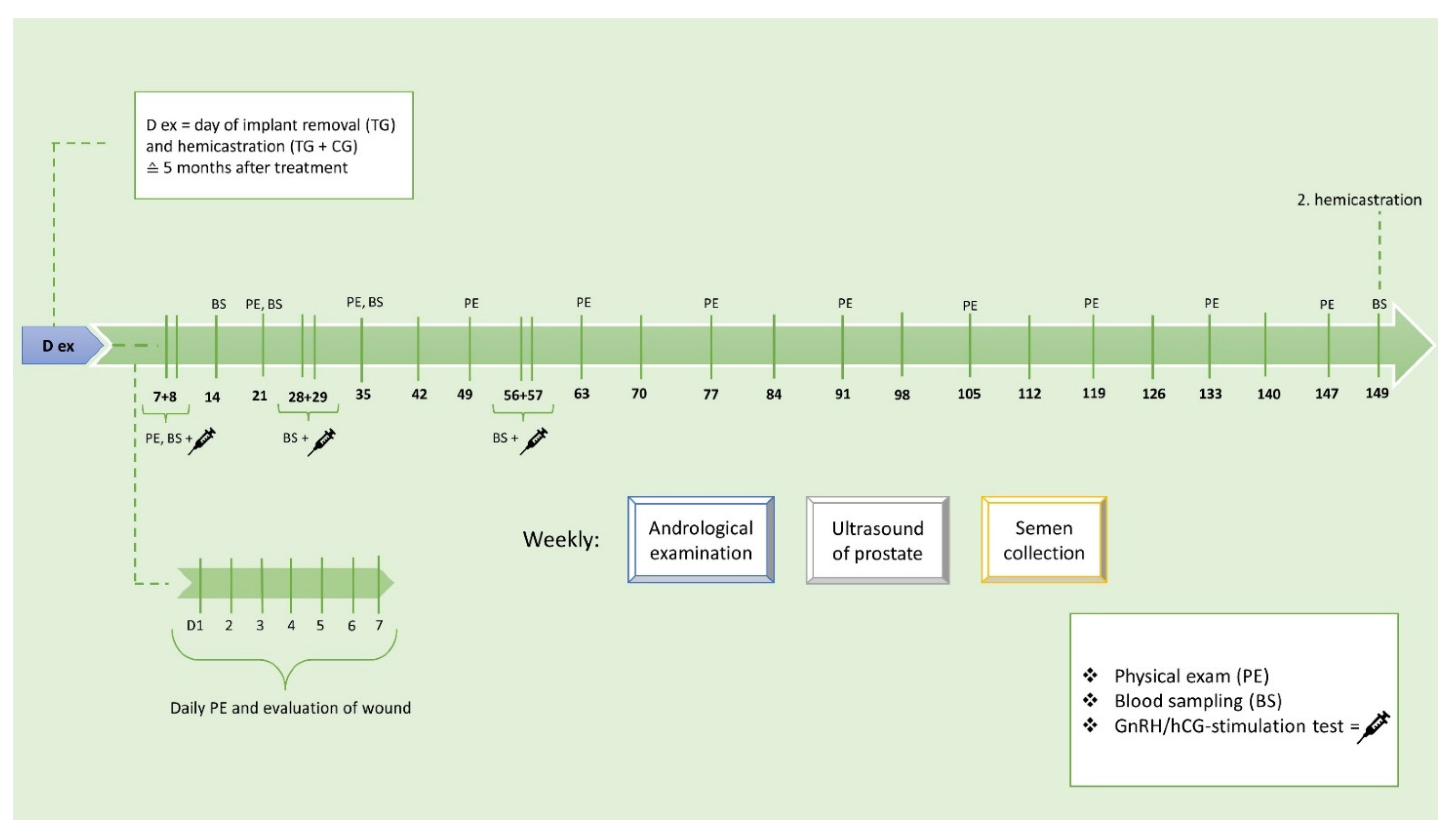 Animals 12 02545 g001
