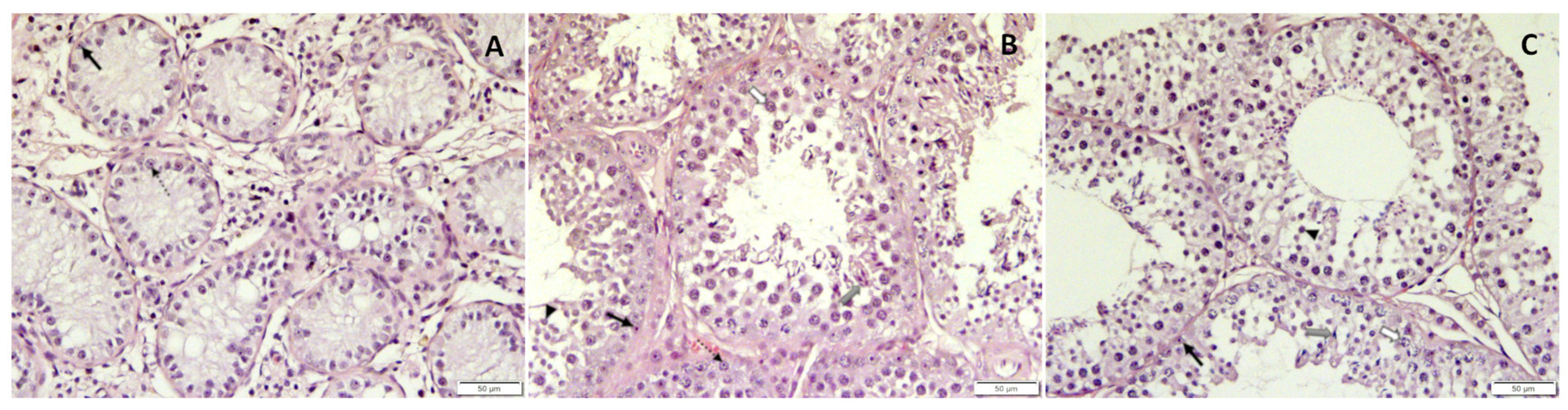 Animals 12 02545 g012