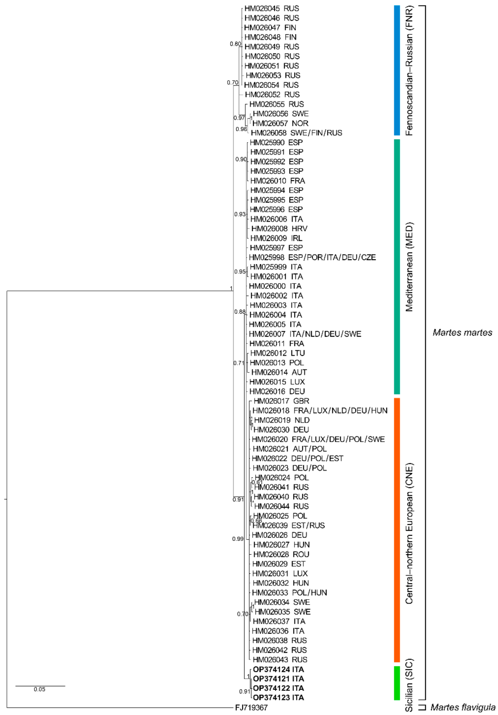 Animals 12 02546 g001