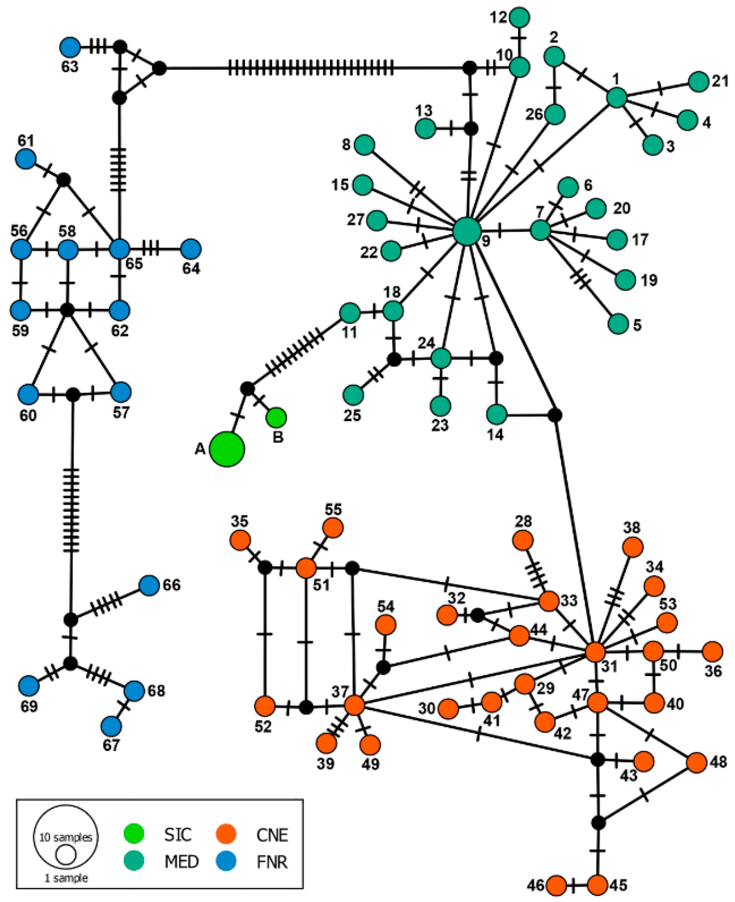 Animals 12 02546 g002