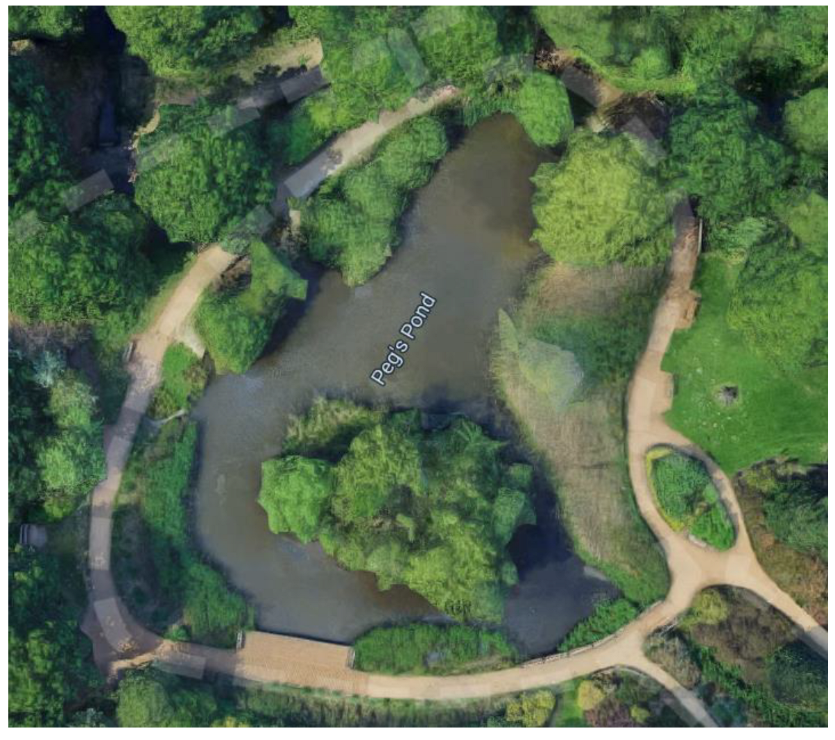 Animals 12 02554 g001