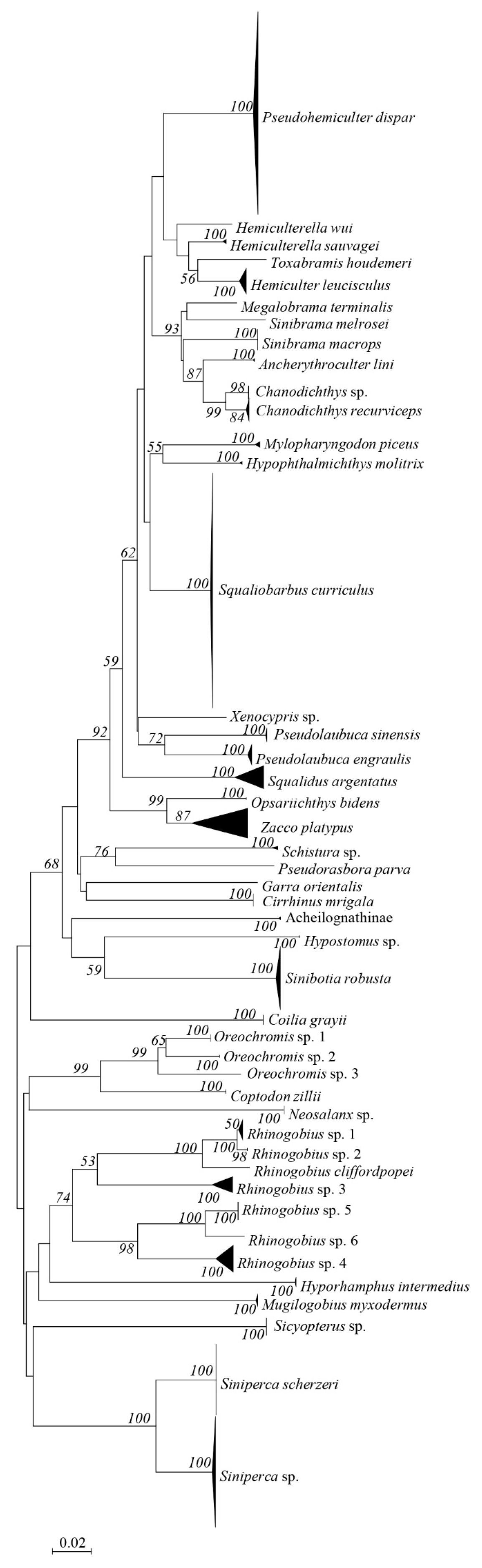 Animals 12 02555 g002