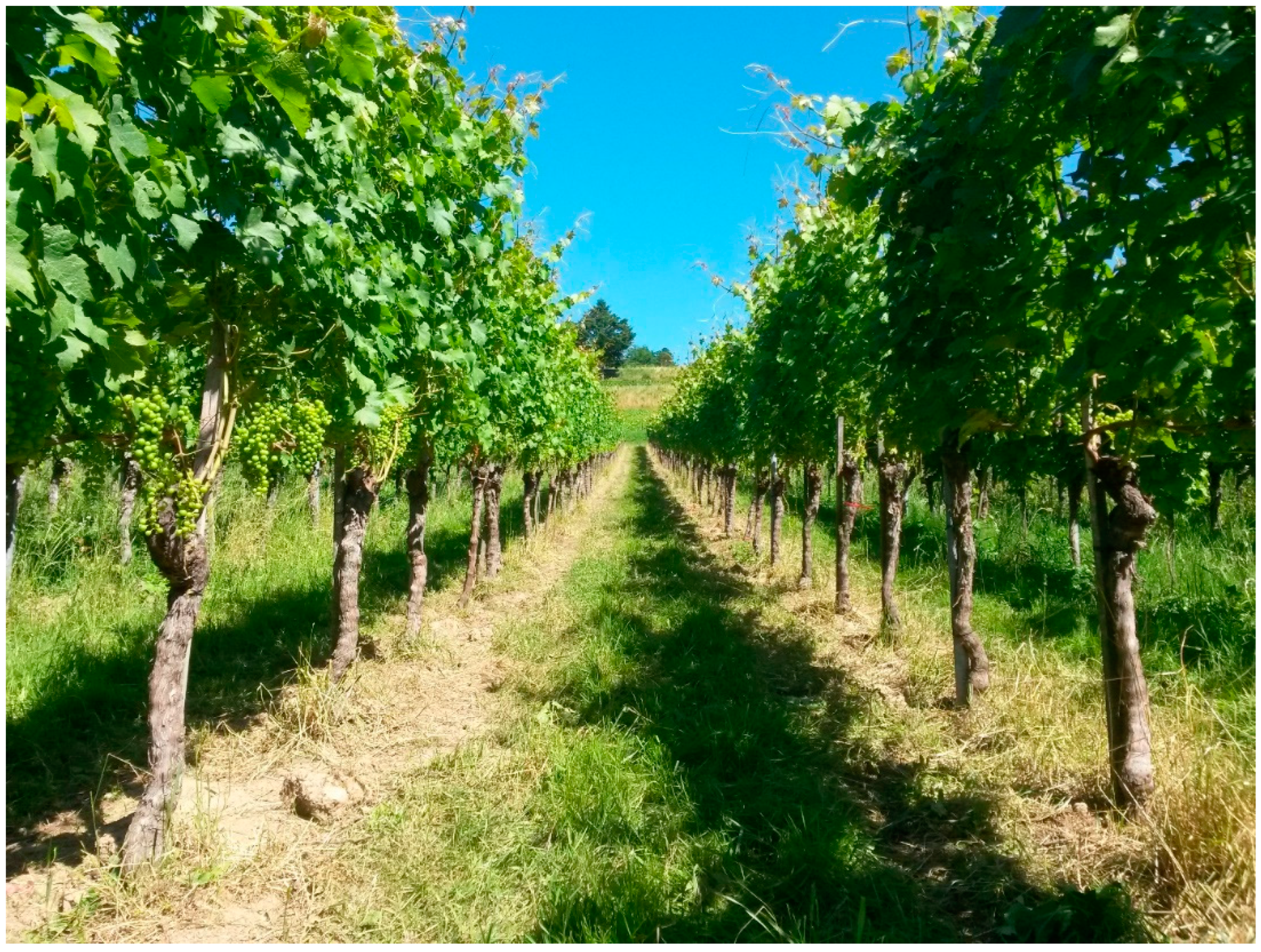 Animals 12 02575 g008