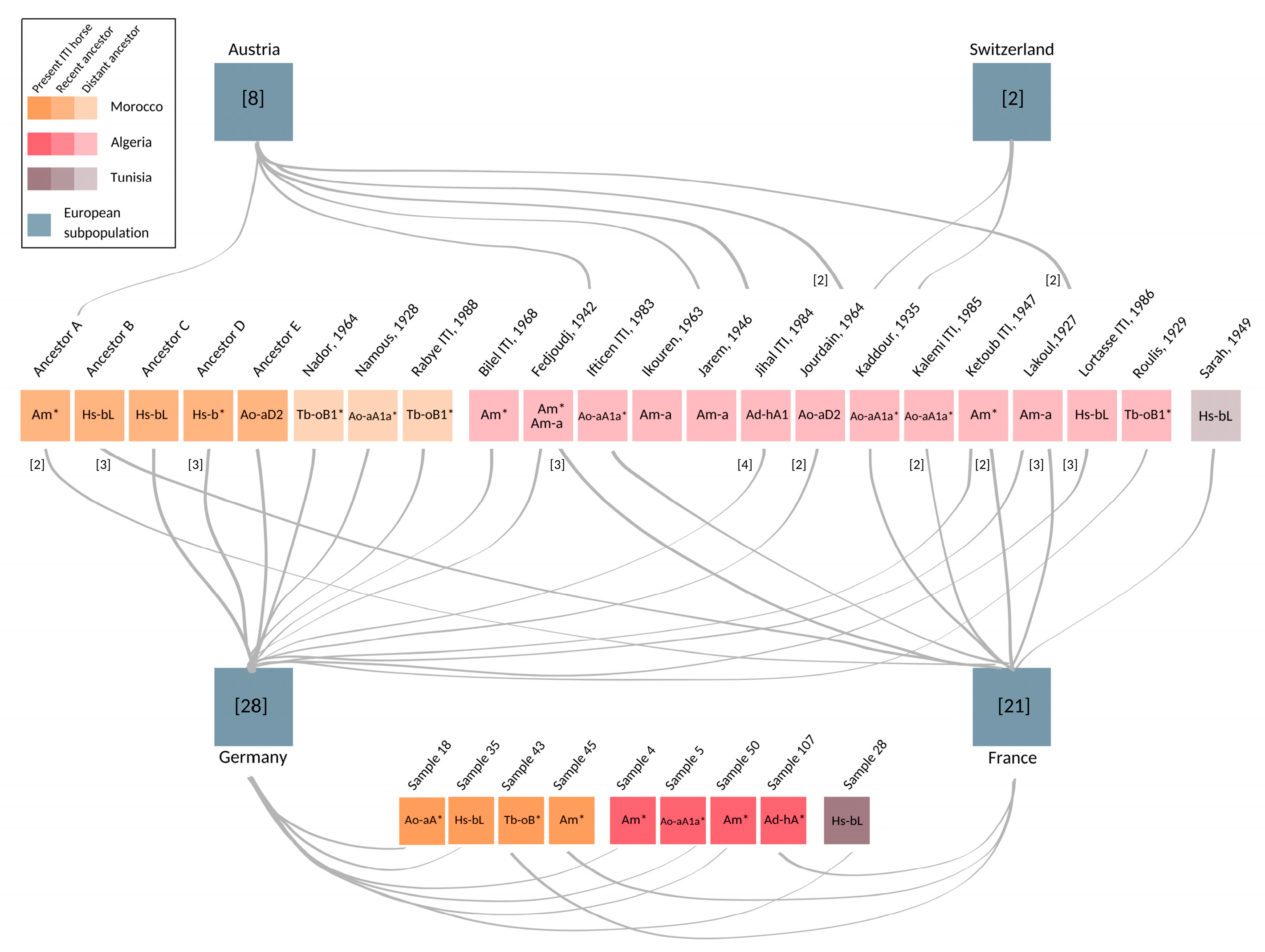 Animals 12 02579 g003