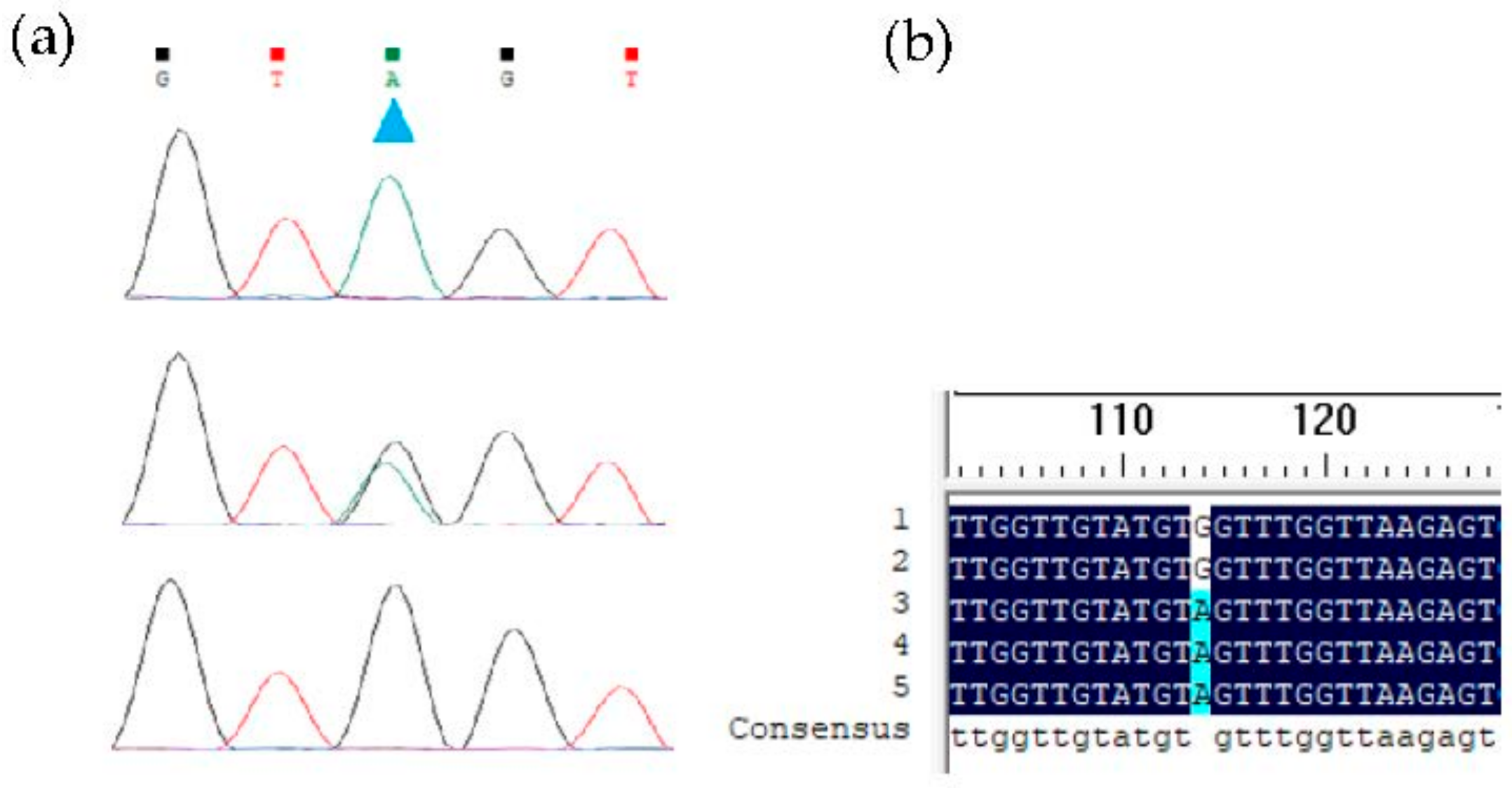 Animals 12 02581 g0a3