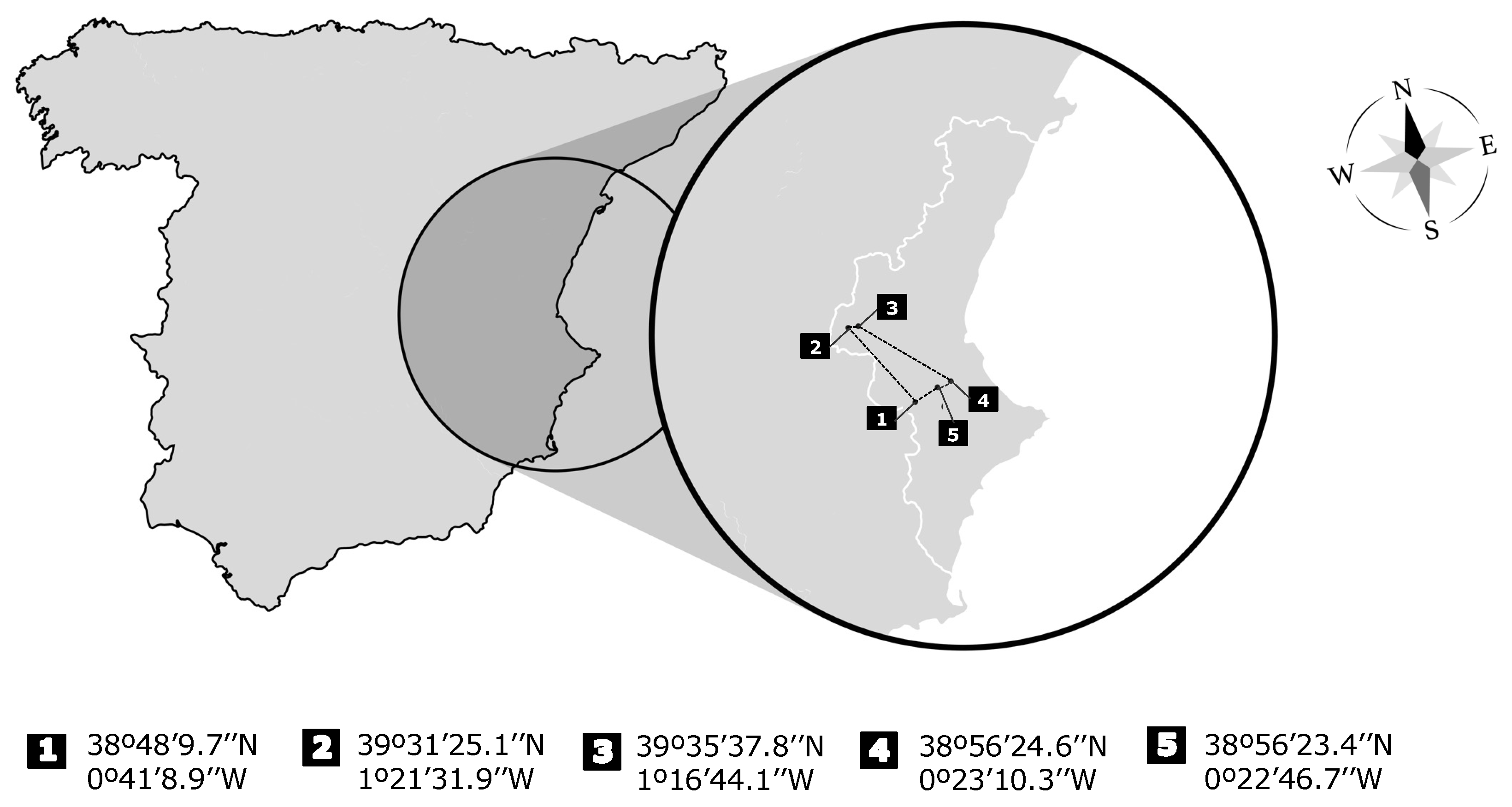 Animals 12 02608 g001