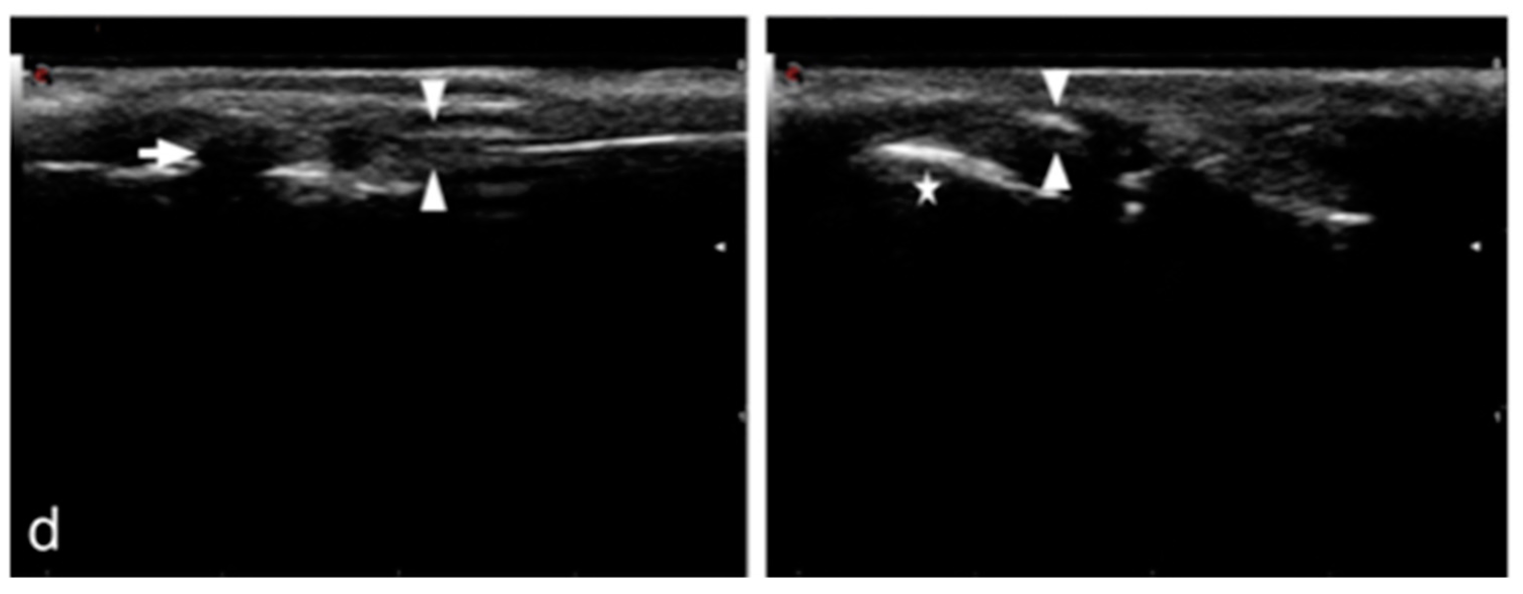 Animals 12 02619 g003b