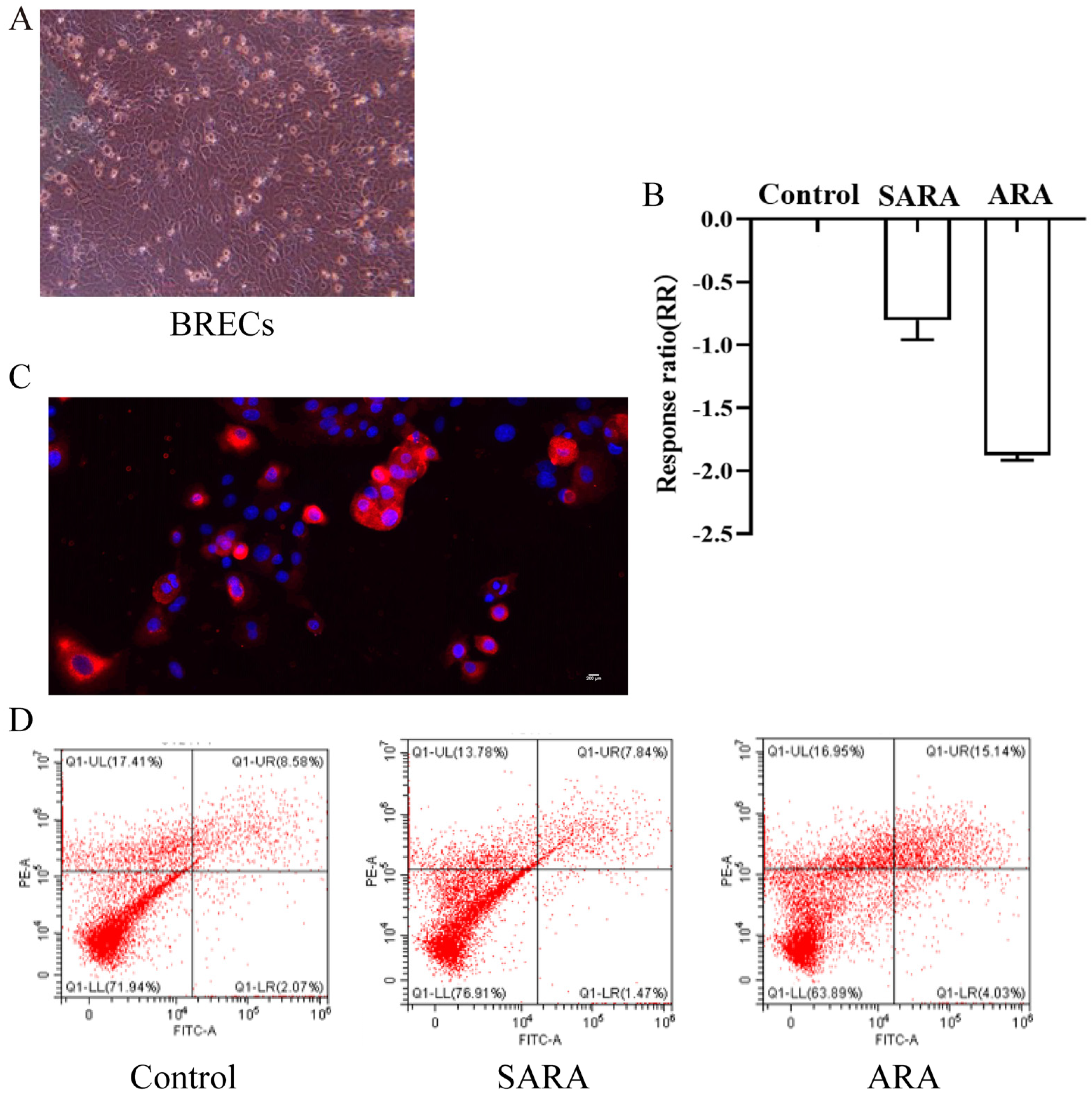 Animals 12 02621 g001