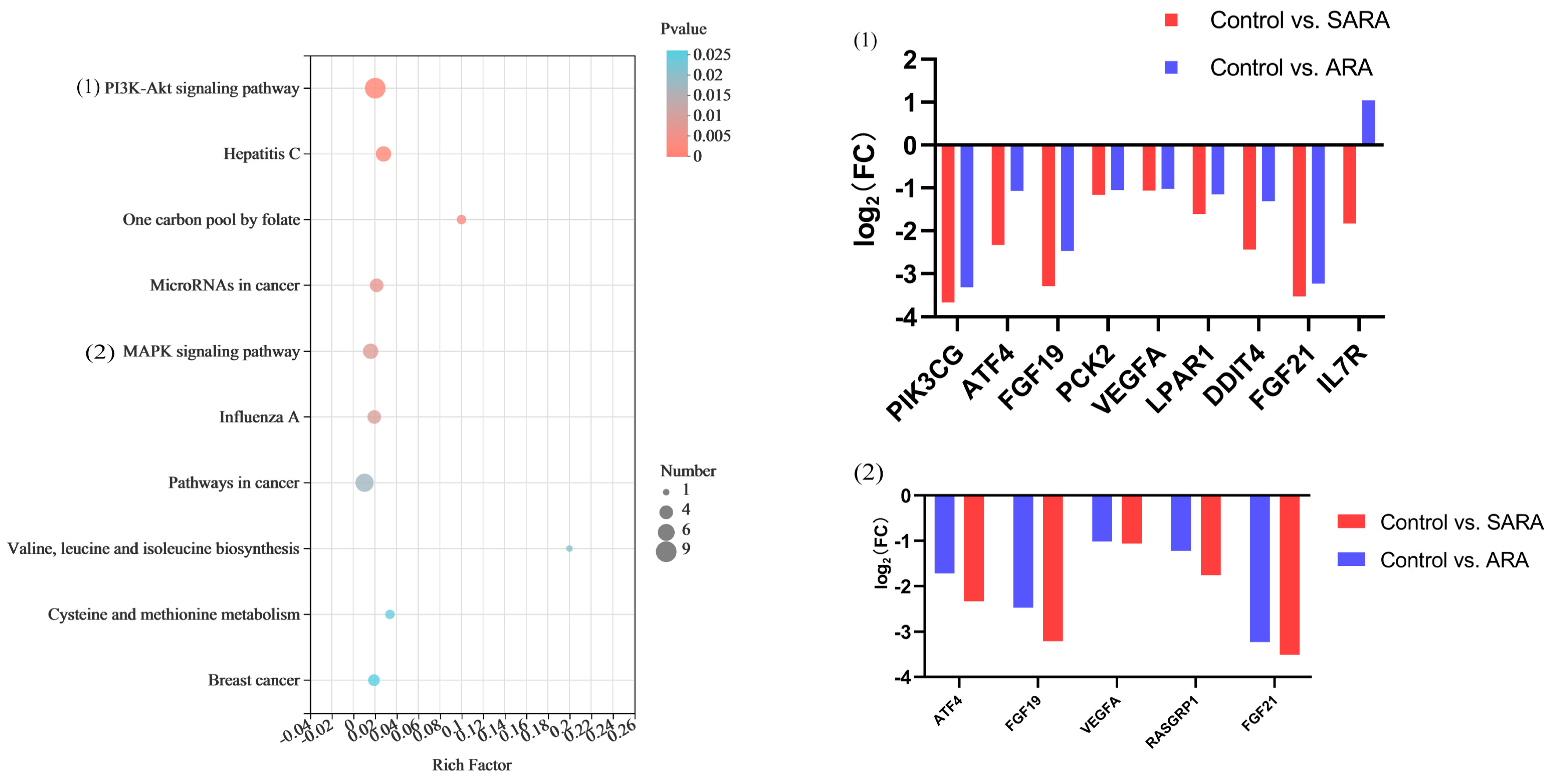 Animals 12 02621 g004