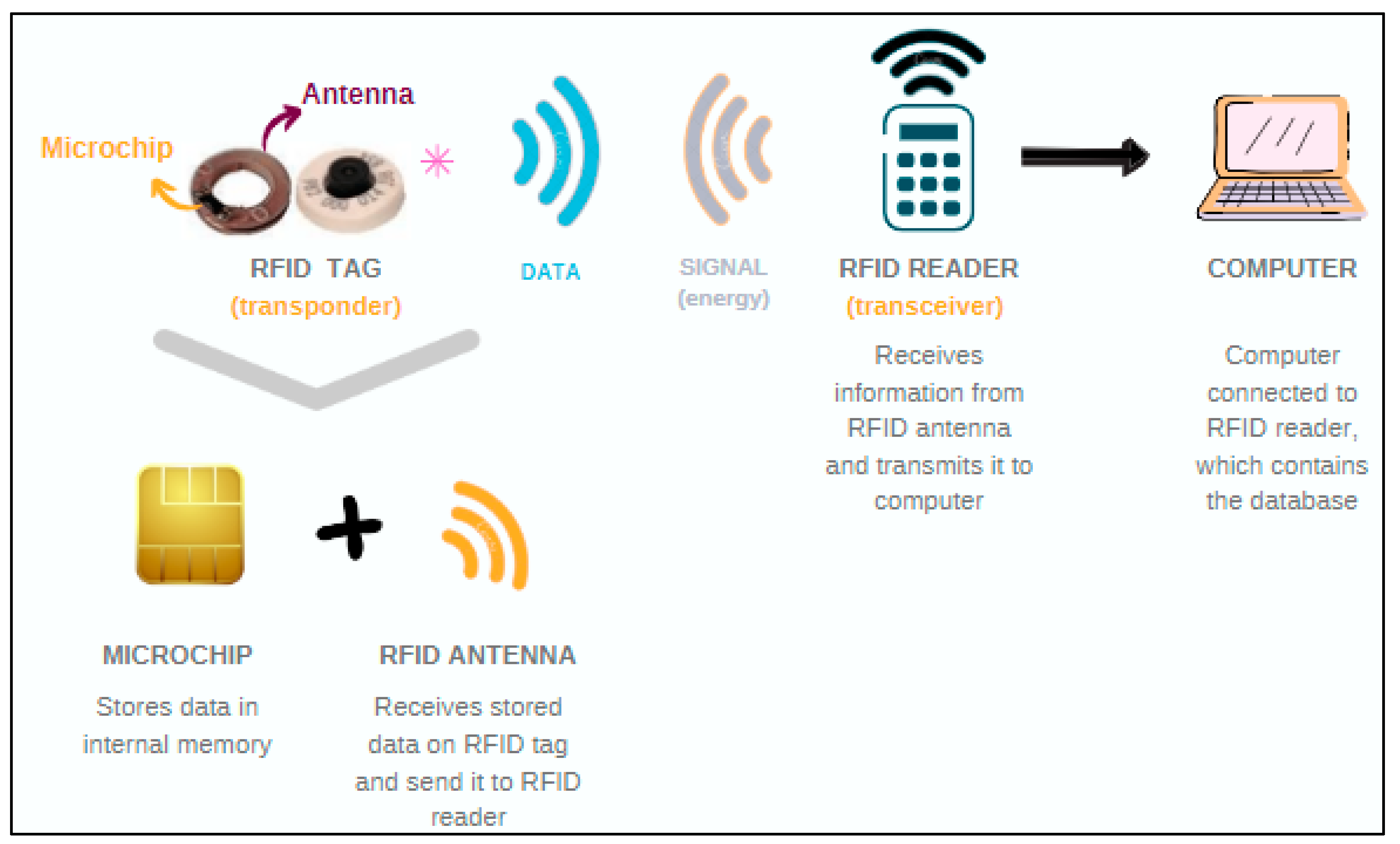 Animals 12 02623 g002