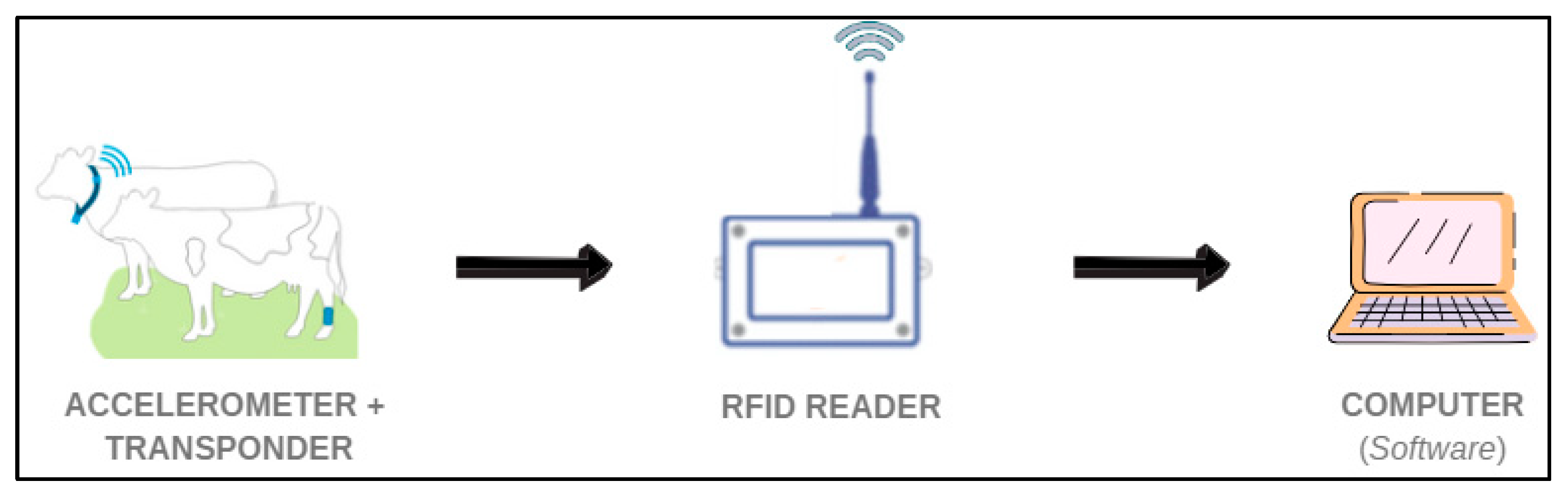 Animals 12 02623 g003