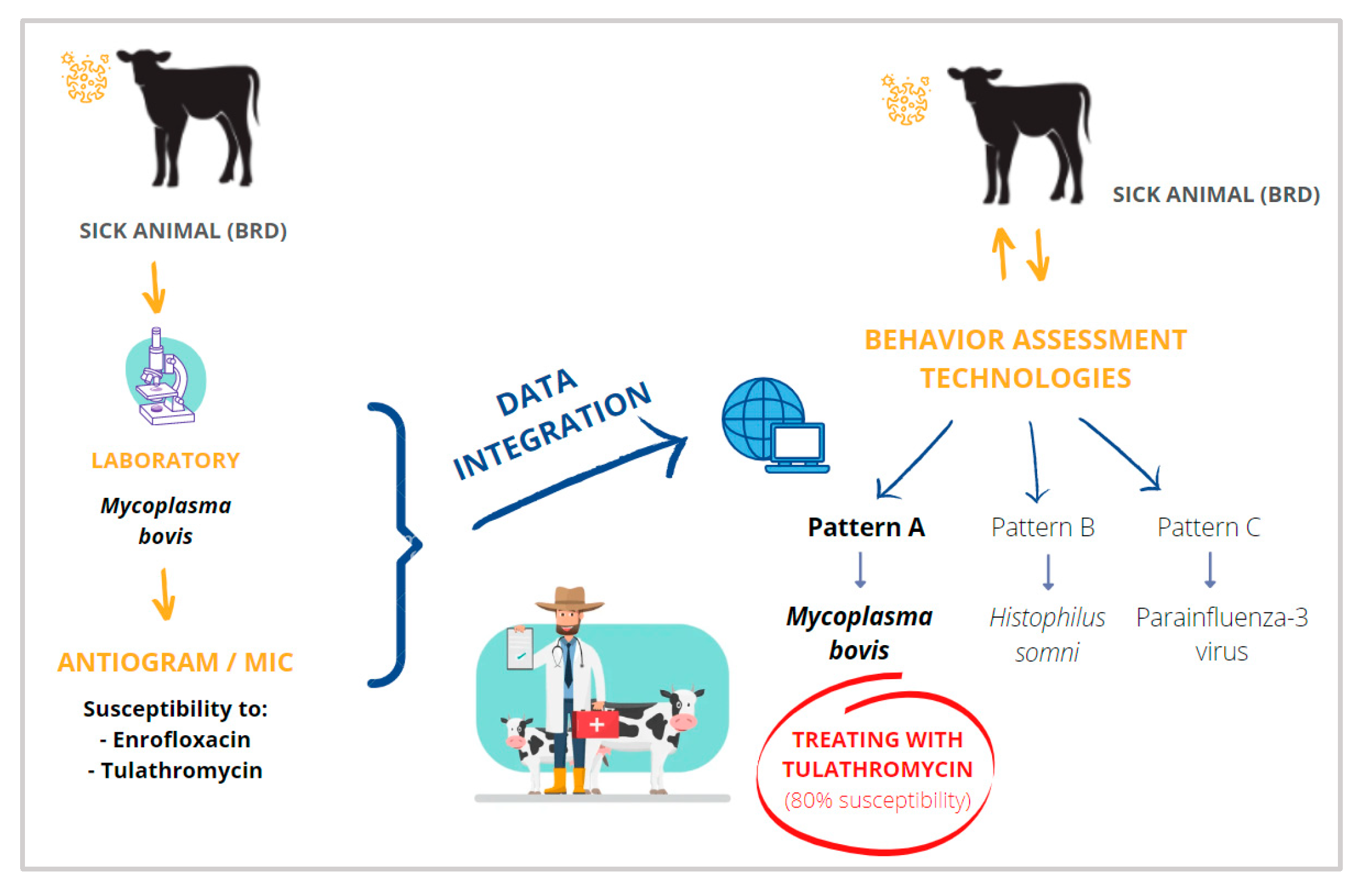 Animals 12 02623 g005