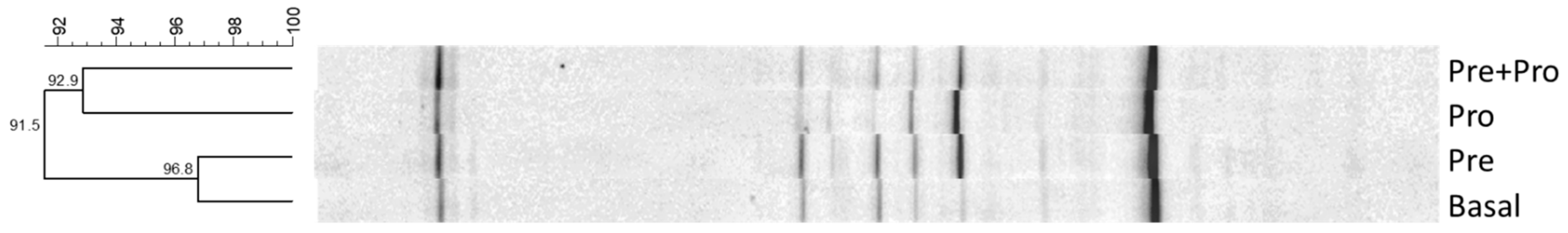 Animals 12 02629 g001