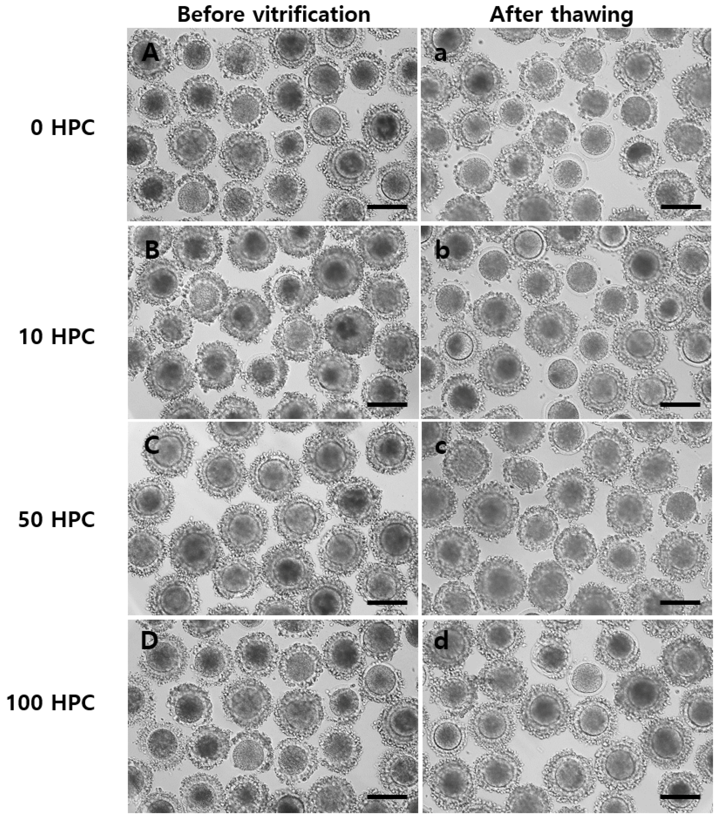 Animals 12 02636 g001 Animals 12 02636 g001