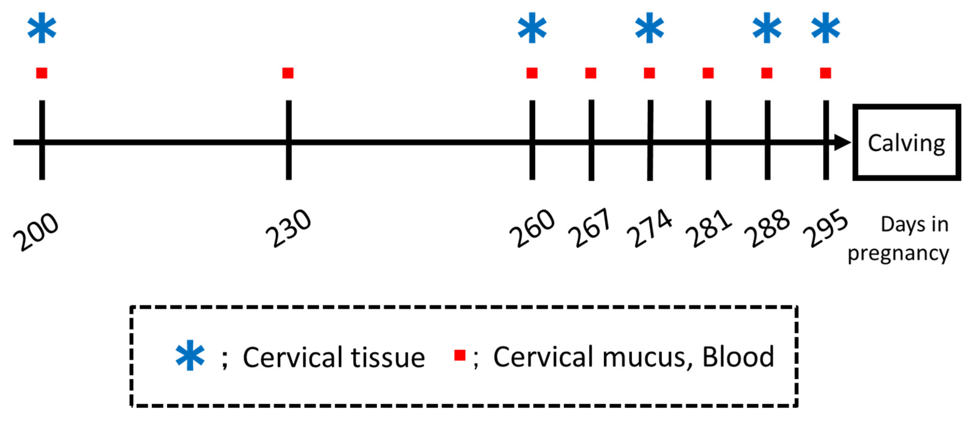 Animals 12 02646 g001