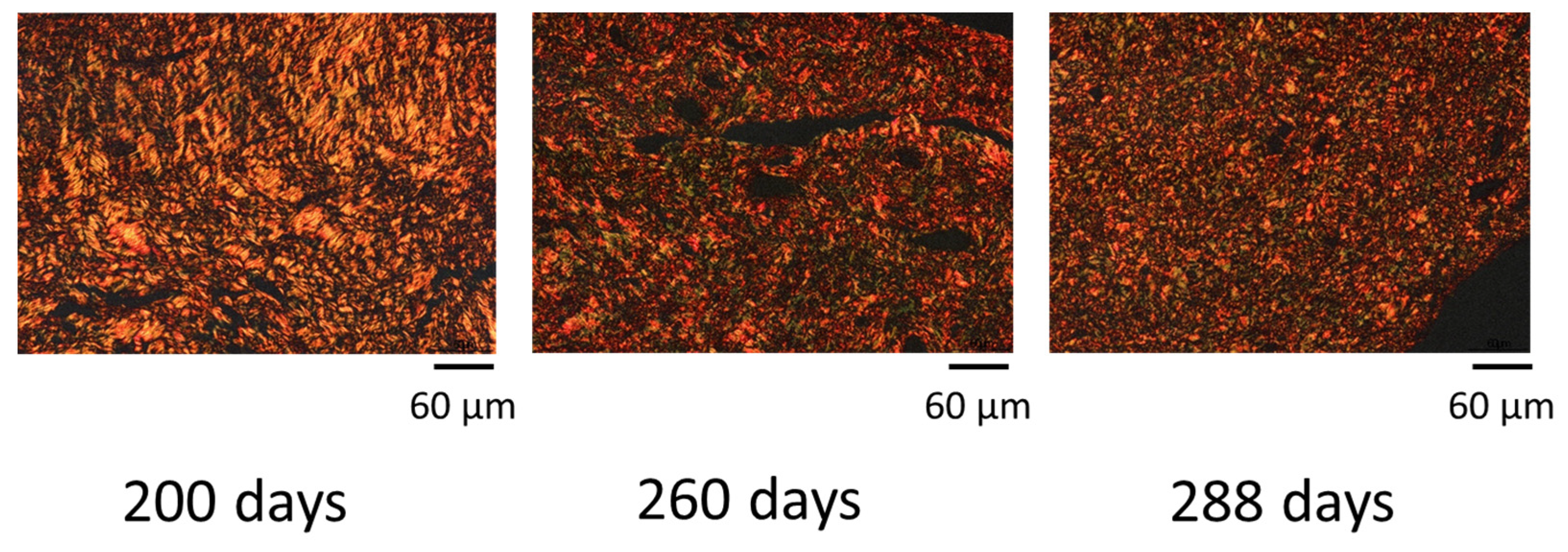 Animals 12 02646 g004