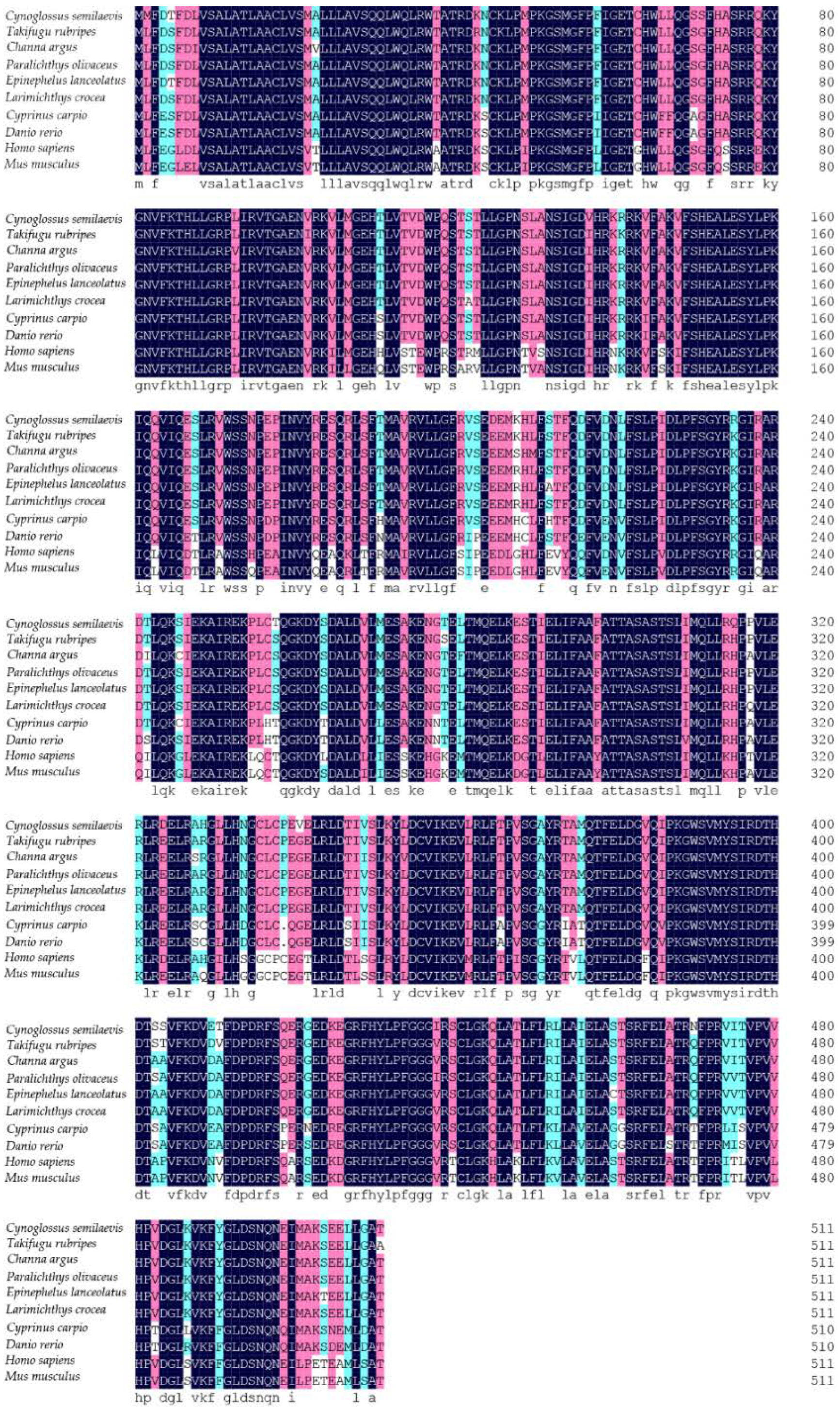 Animals 12 02652 g002