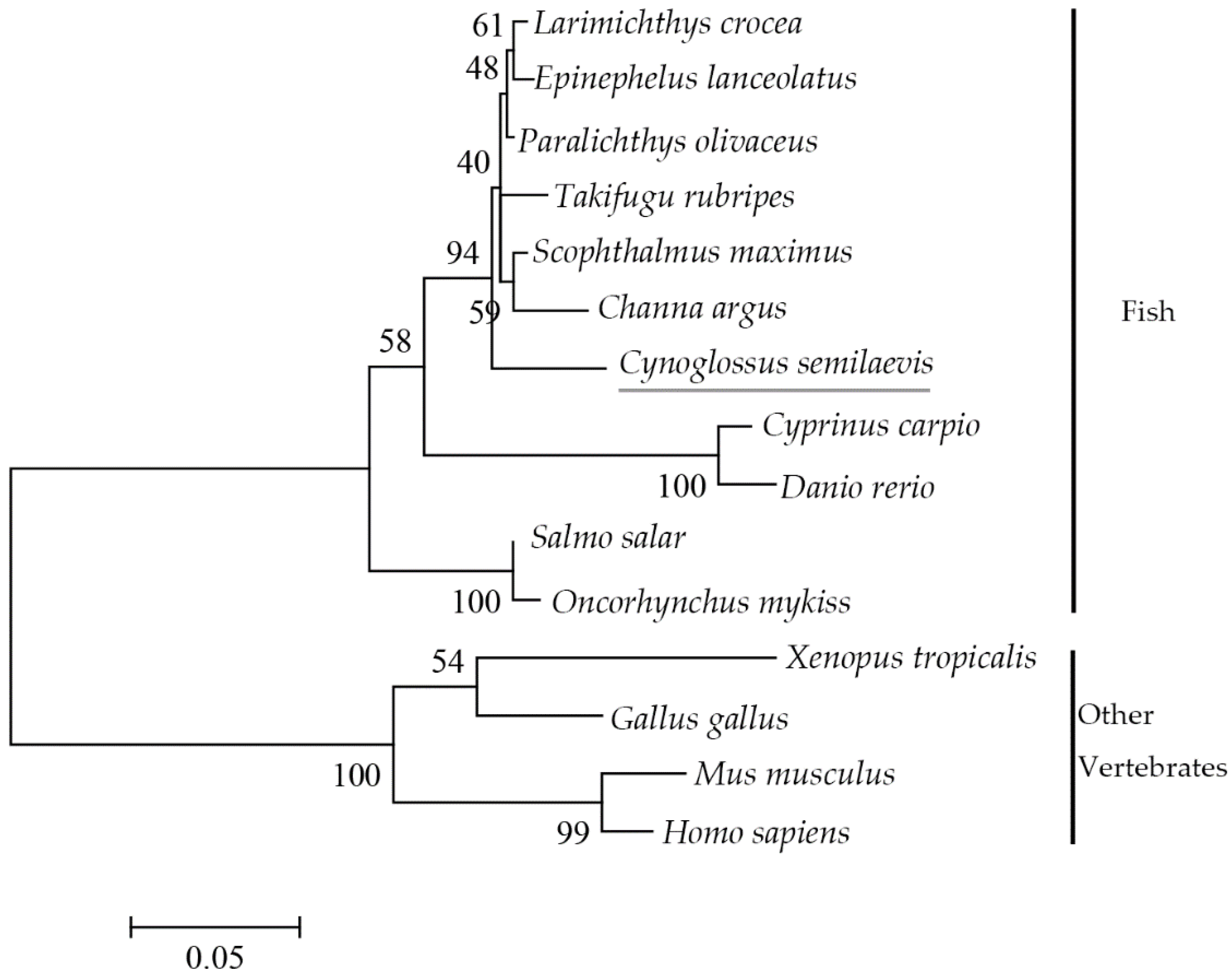 Animals 12 02652 g003