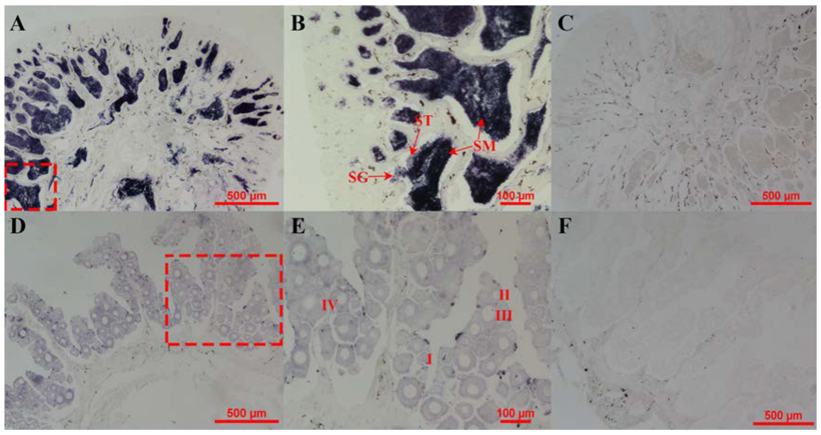 Animals 12 02652 g005