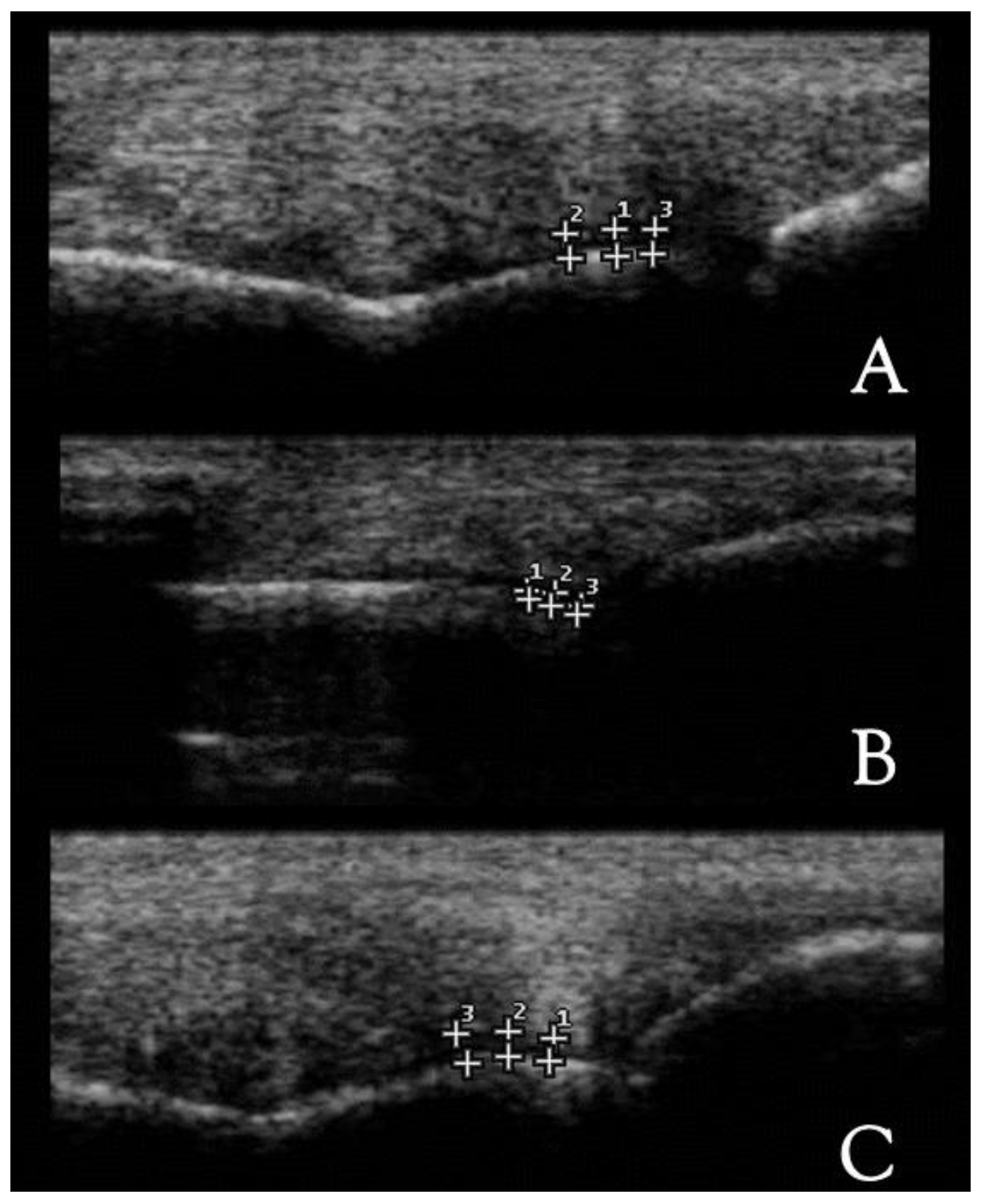 Animals 12 02657 g001