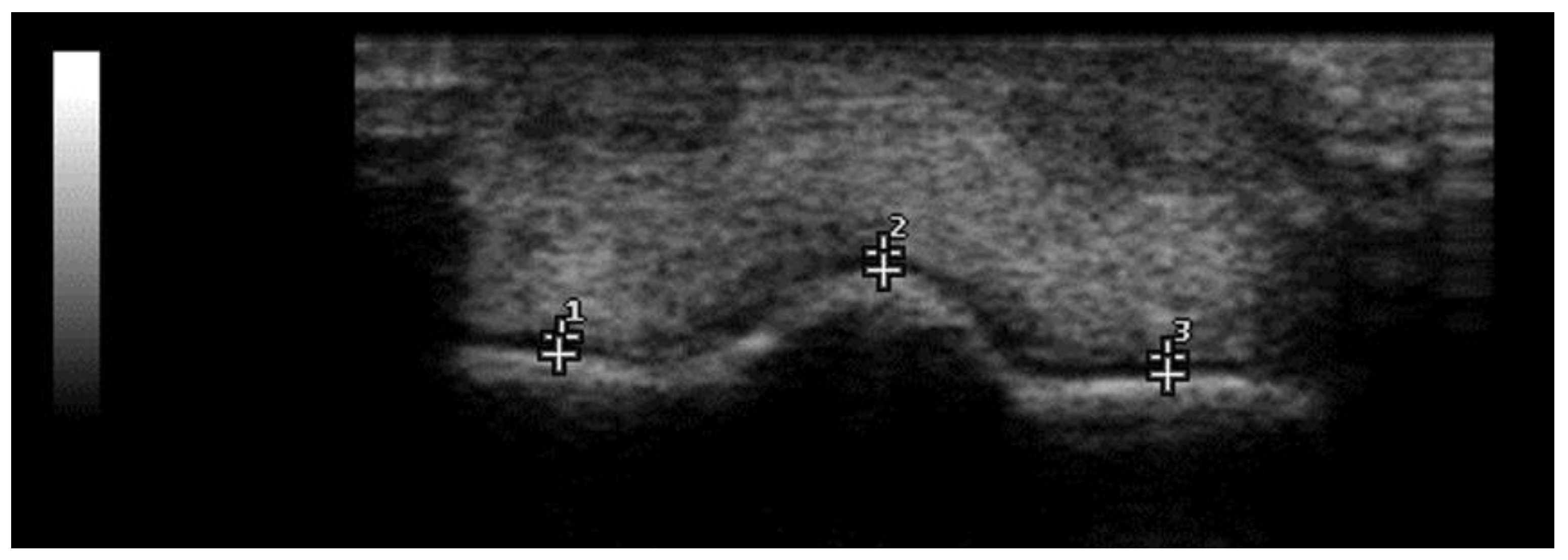 Animals 12 02657 g002