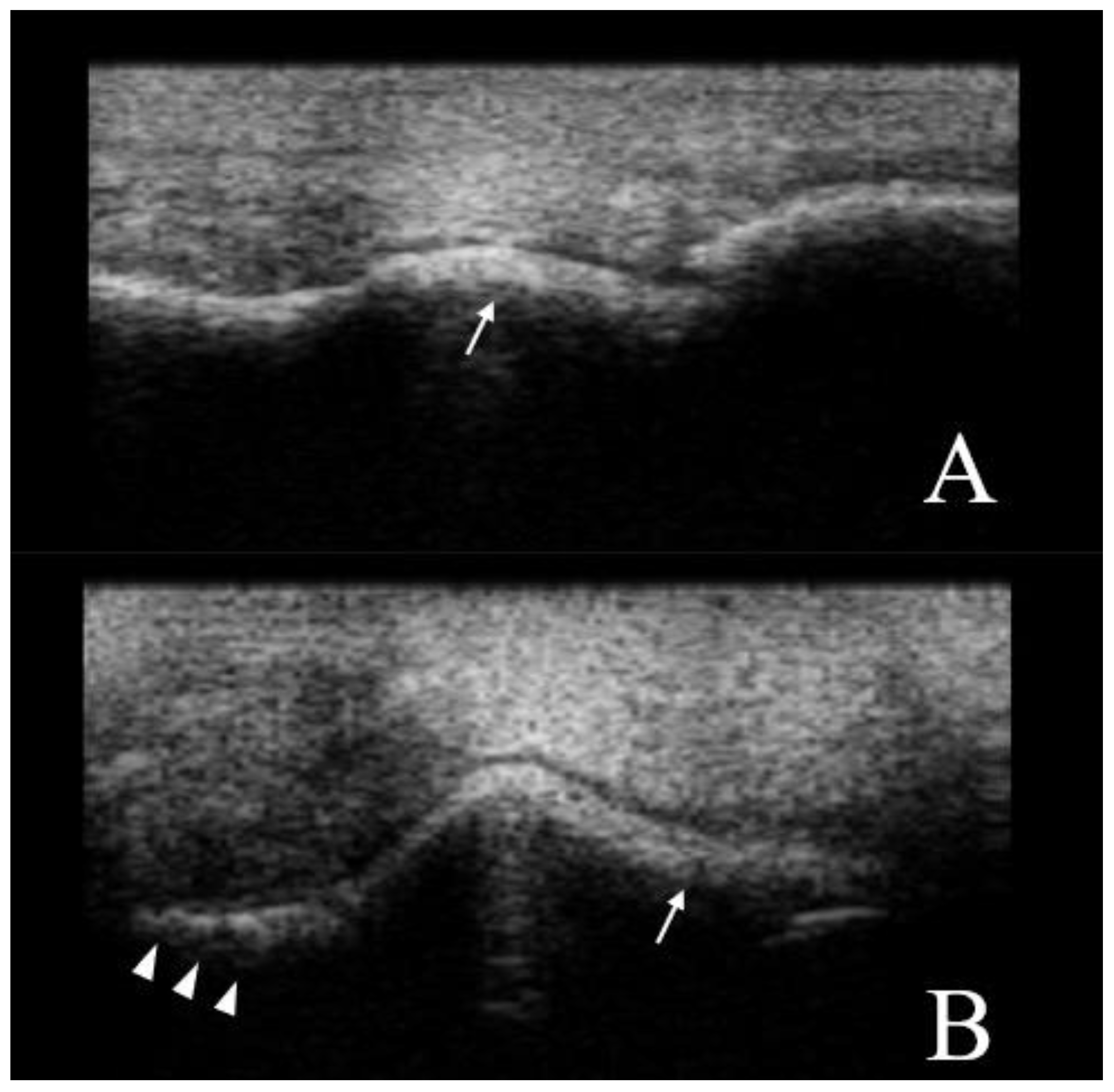 Animals 12 02657 g004