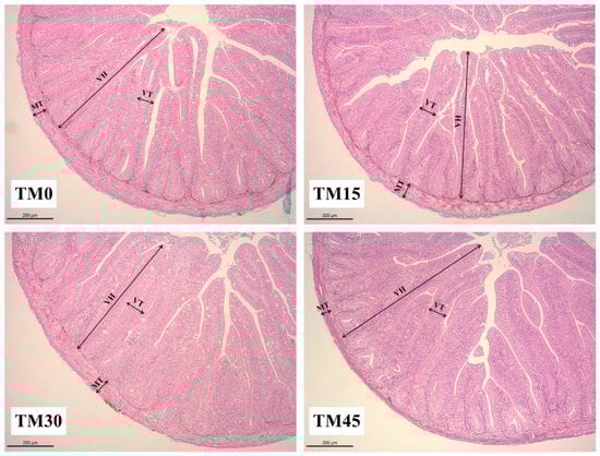 Animals 12 02659 g002