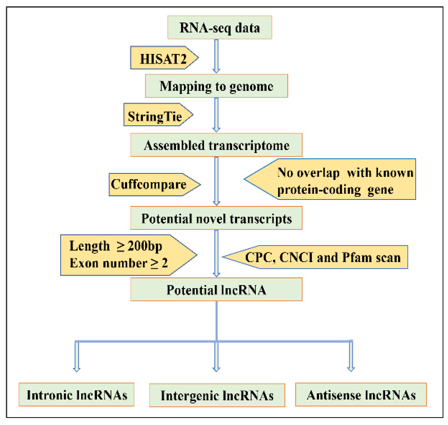 Animals 12 02683 g001