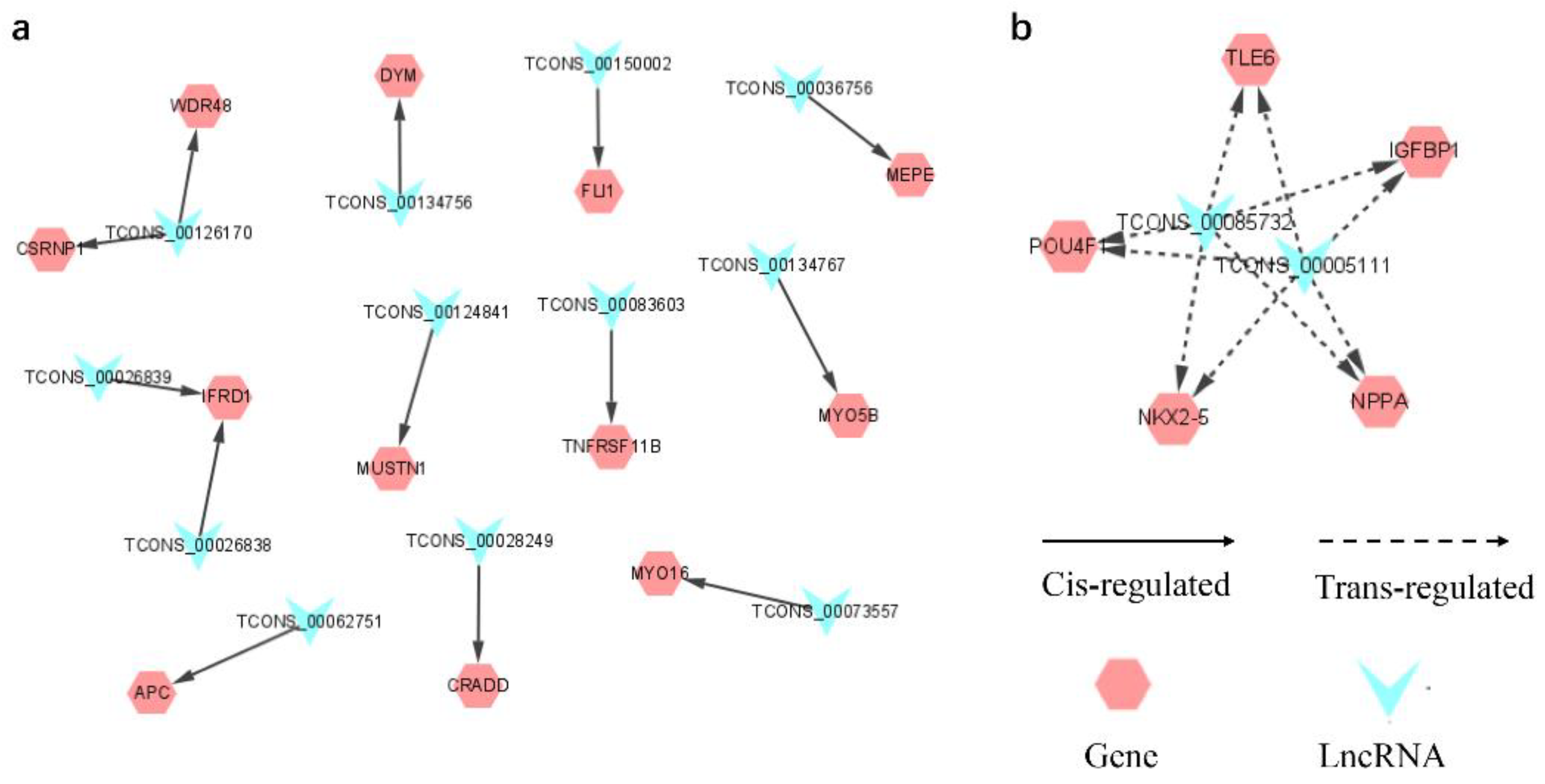 Animals 12 02683 g005