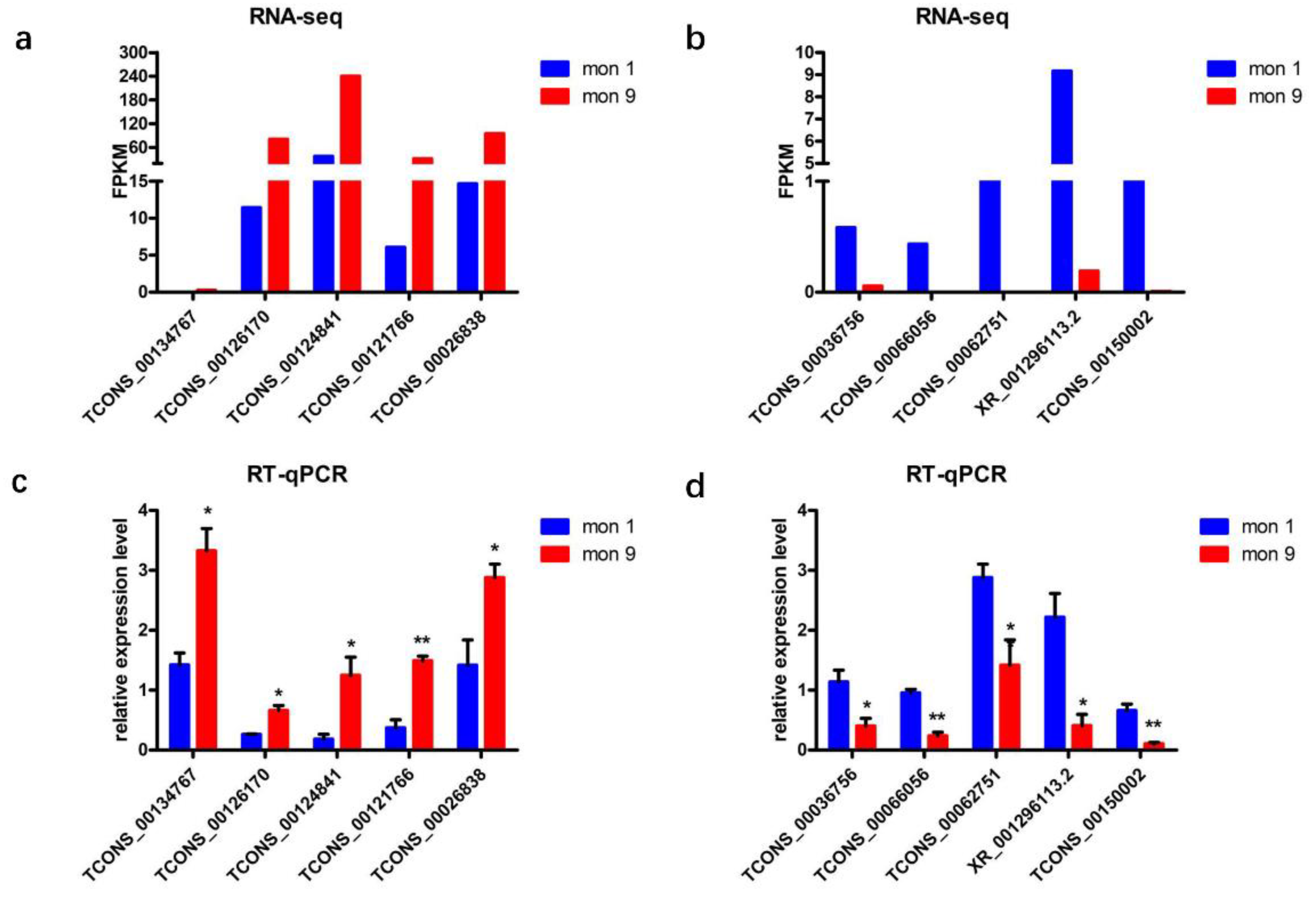 Animals 12 02683 g006