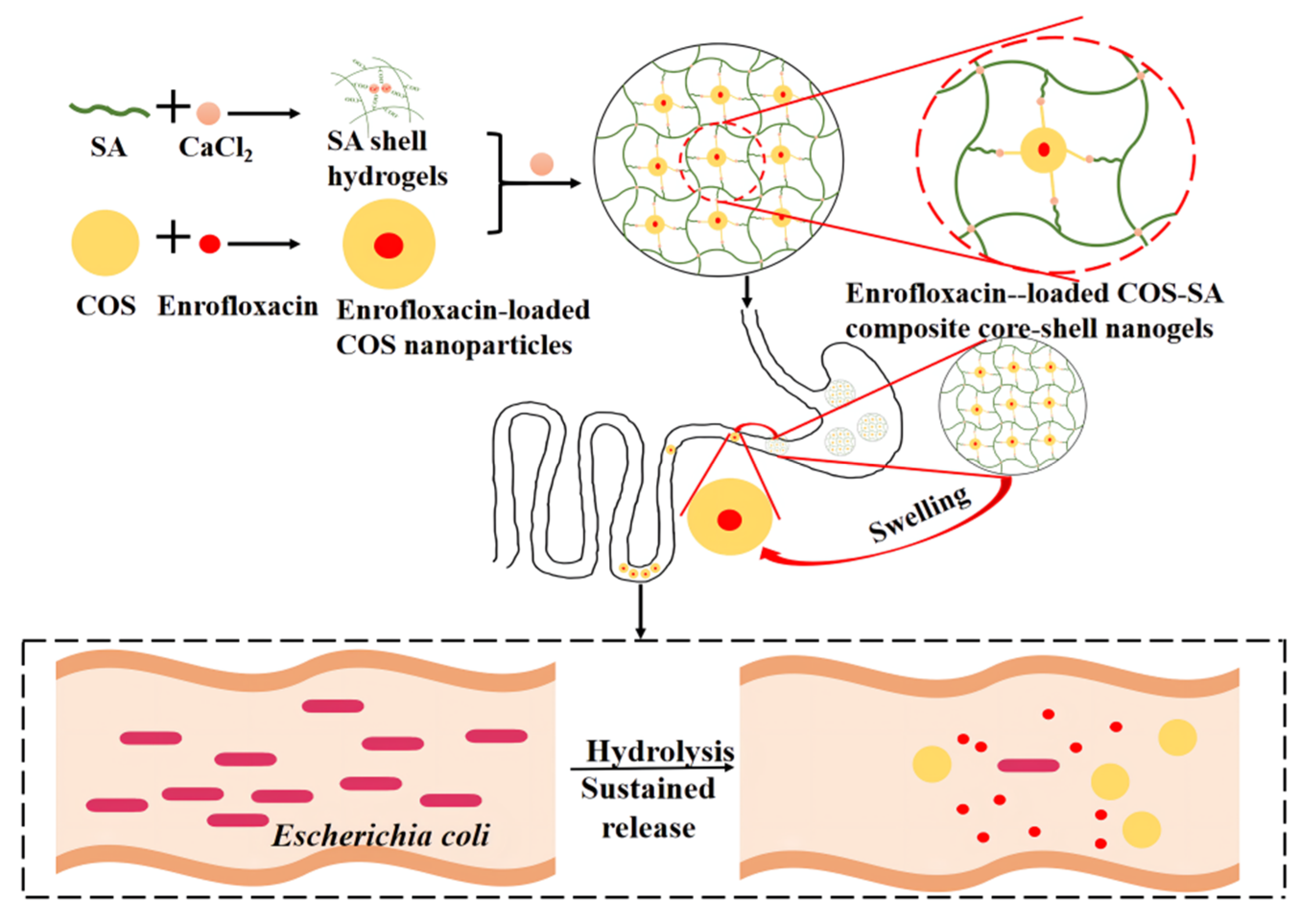 Animals 12 02701 g001