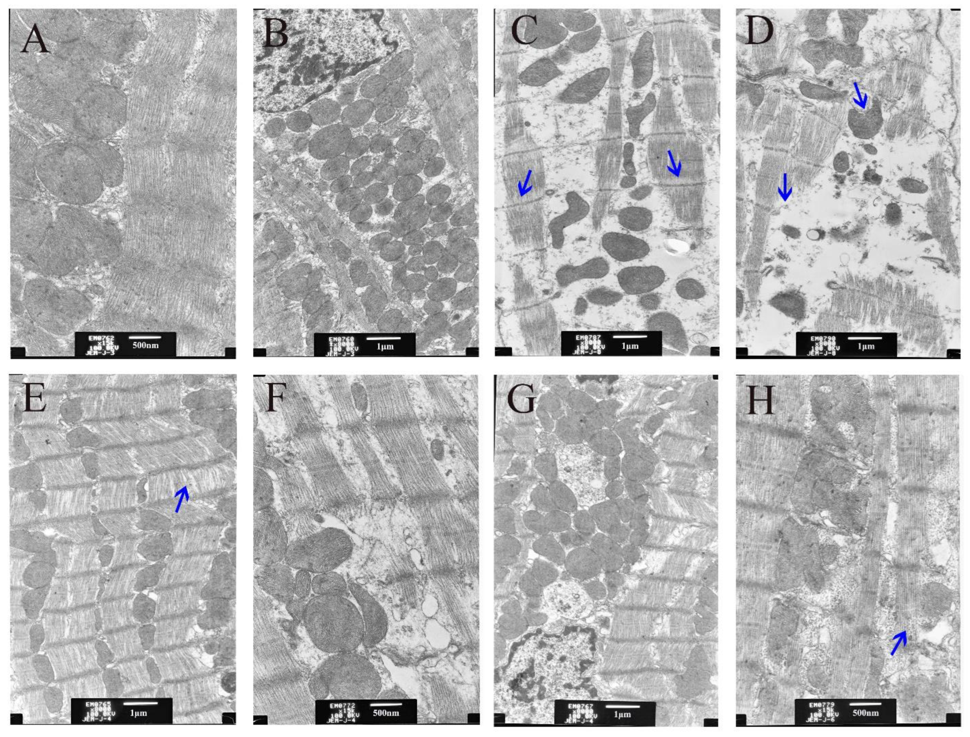 Animals 12 02703 g004 Animals 12 02703 g004