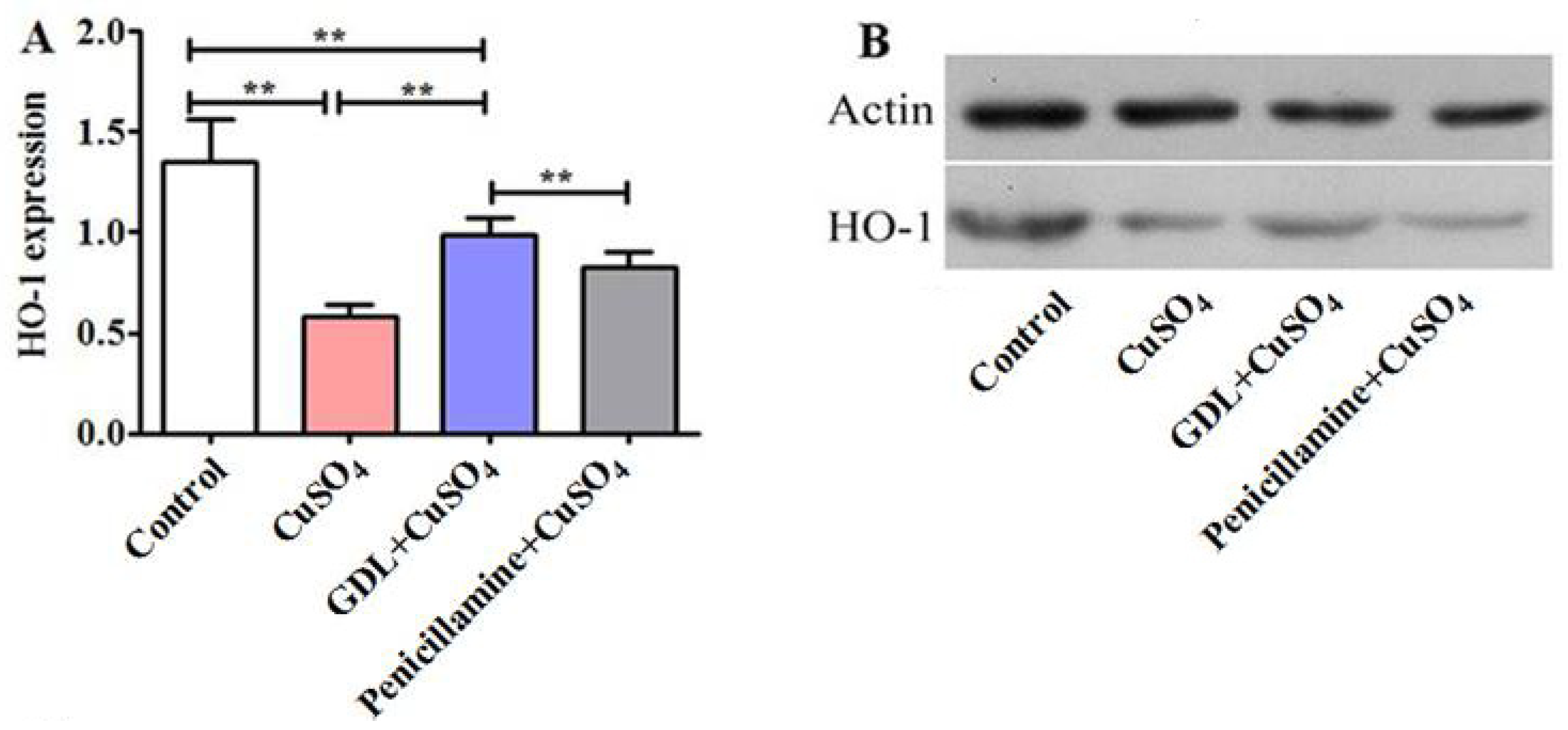 Animals 12 02703 g006 Animals 12 02703 g006