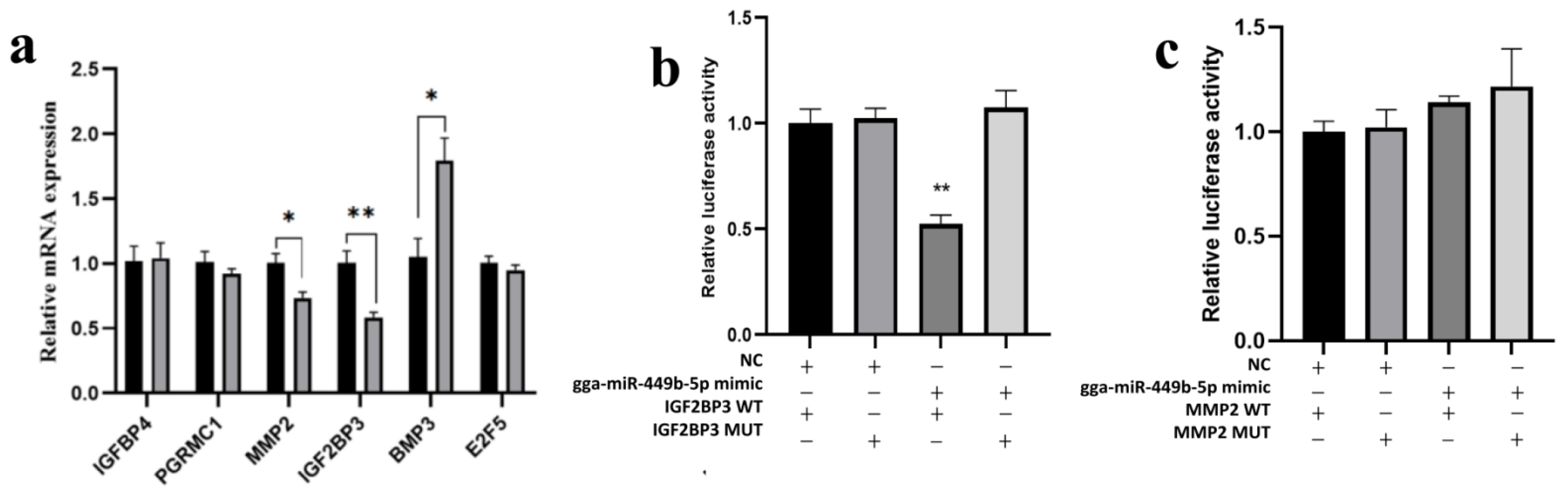 Animals 12 02710 g004