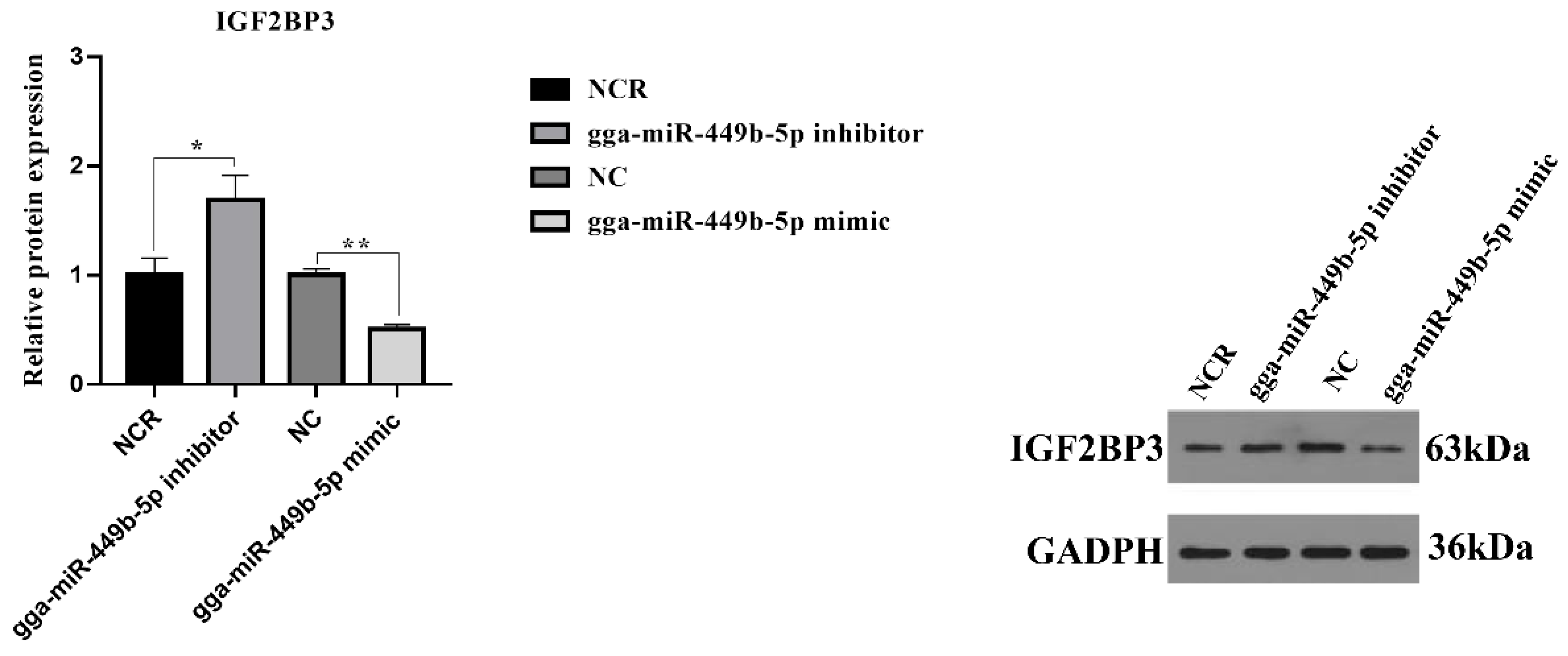 Animals 12 02710 g005