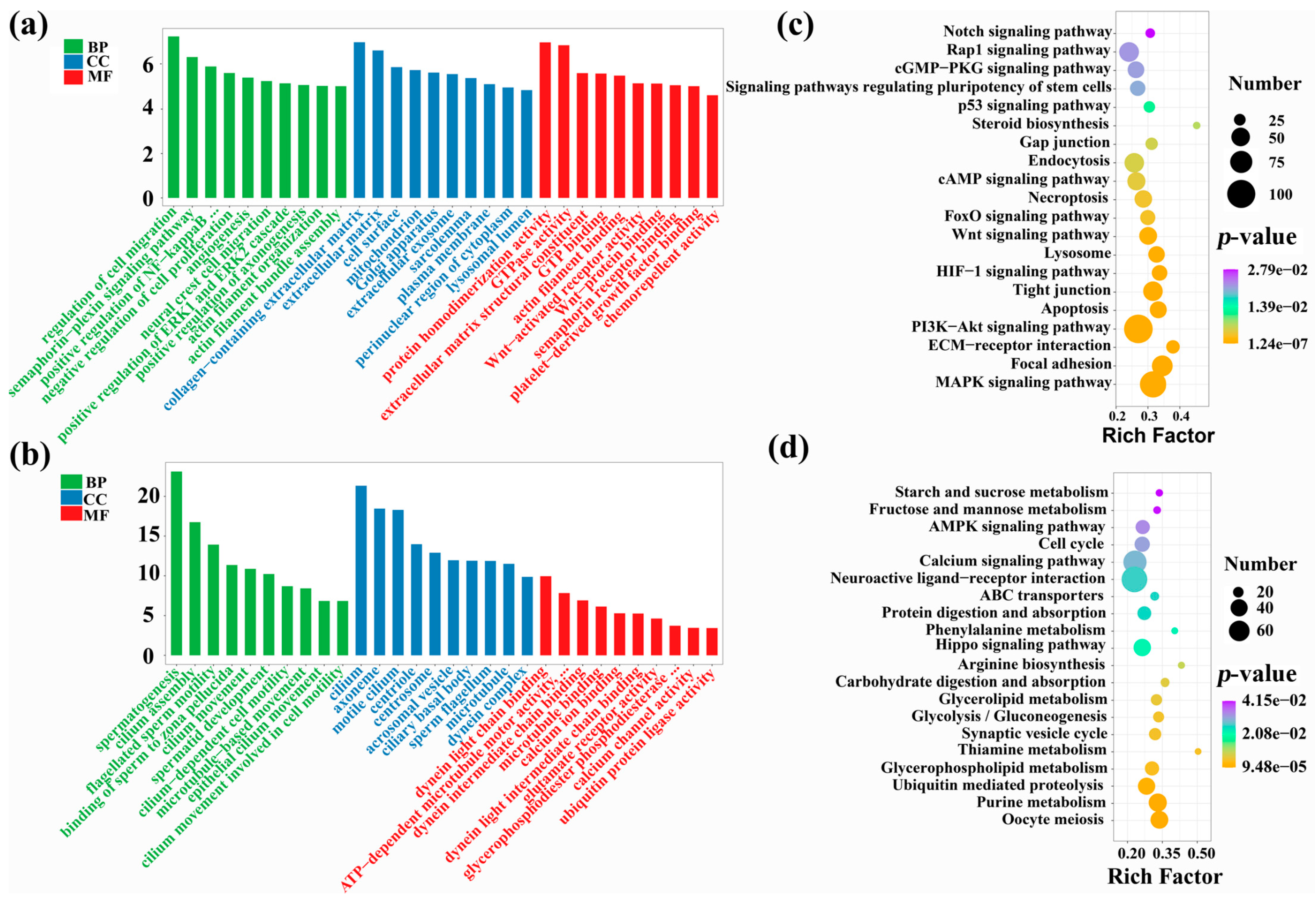 Animals 12 02711 g003